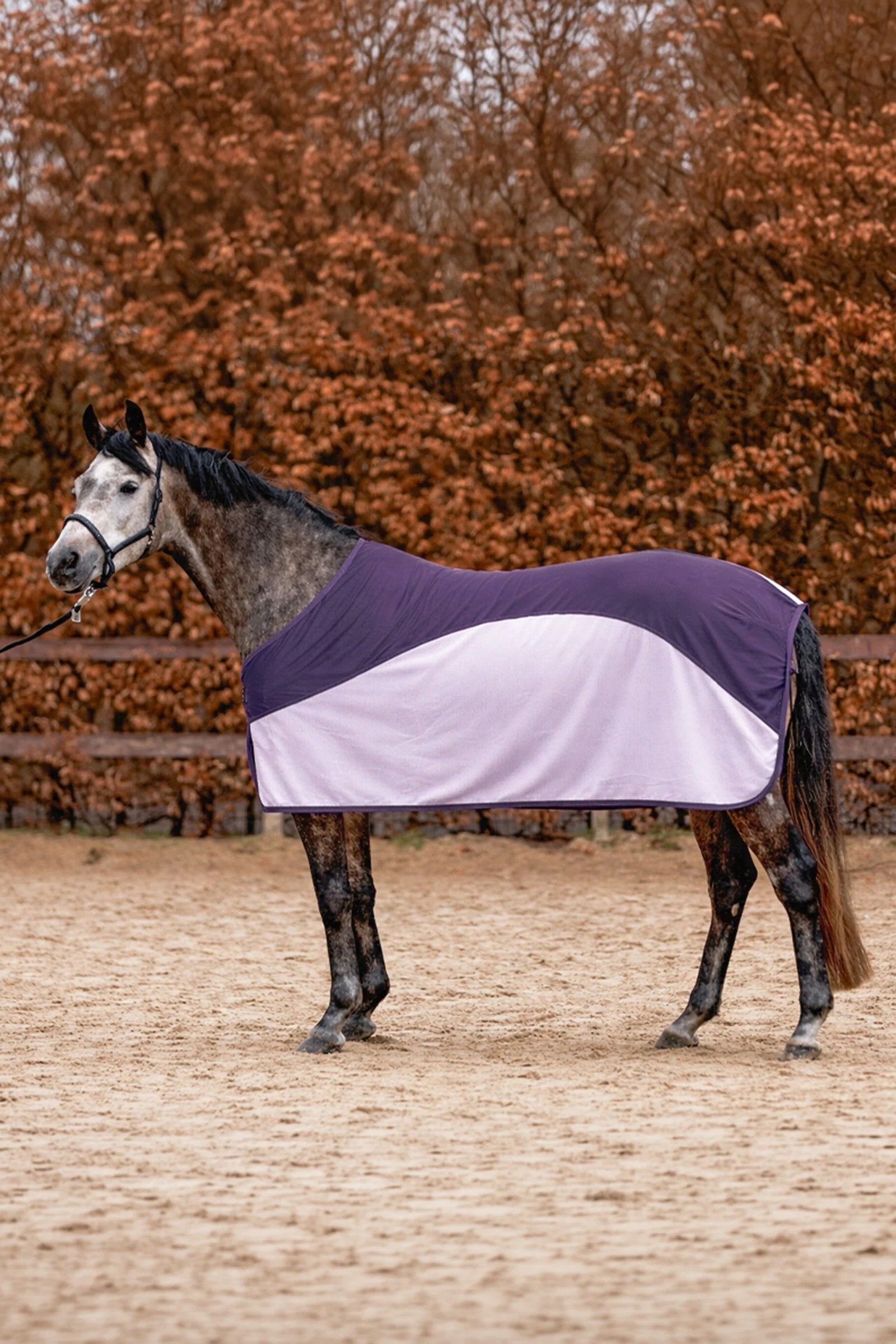 Aeris fluedekken Purple/Lilac 155