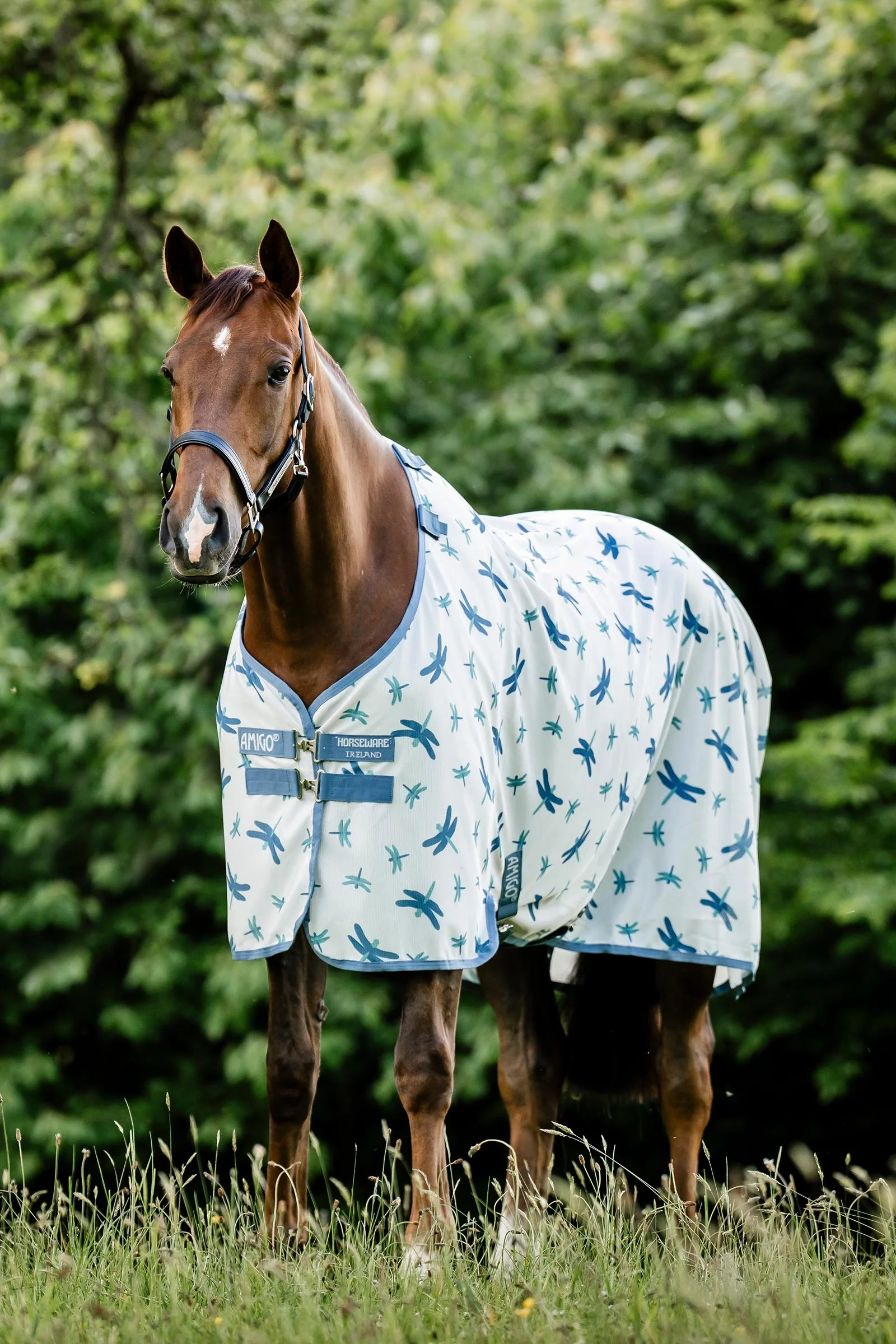 Amigo fluedekken med UV-beskyttelse Dragonfly Print/Silver, Blue & Sage 155