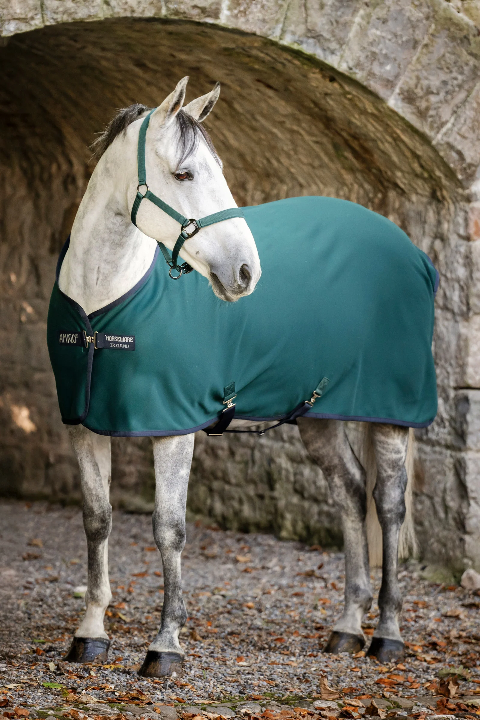 Amigo Jersey svettedekken Dynasty Green/Navy/Silver 130