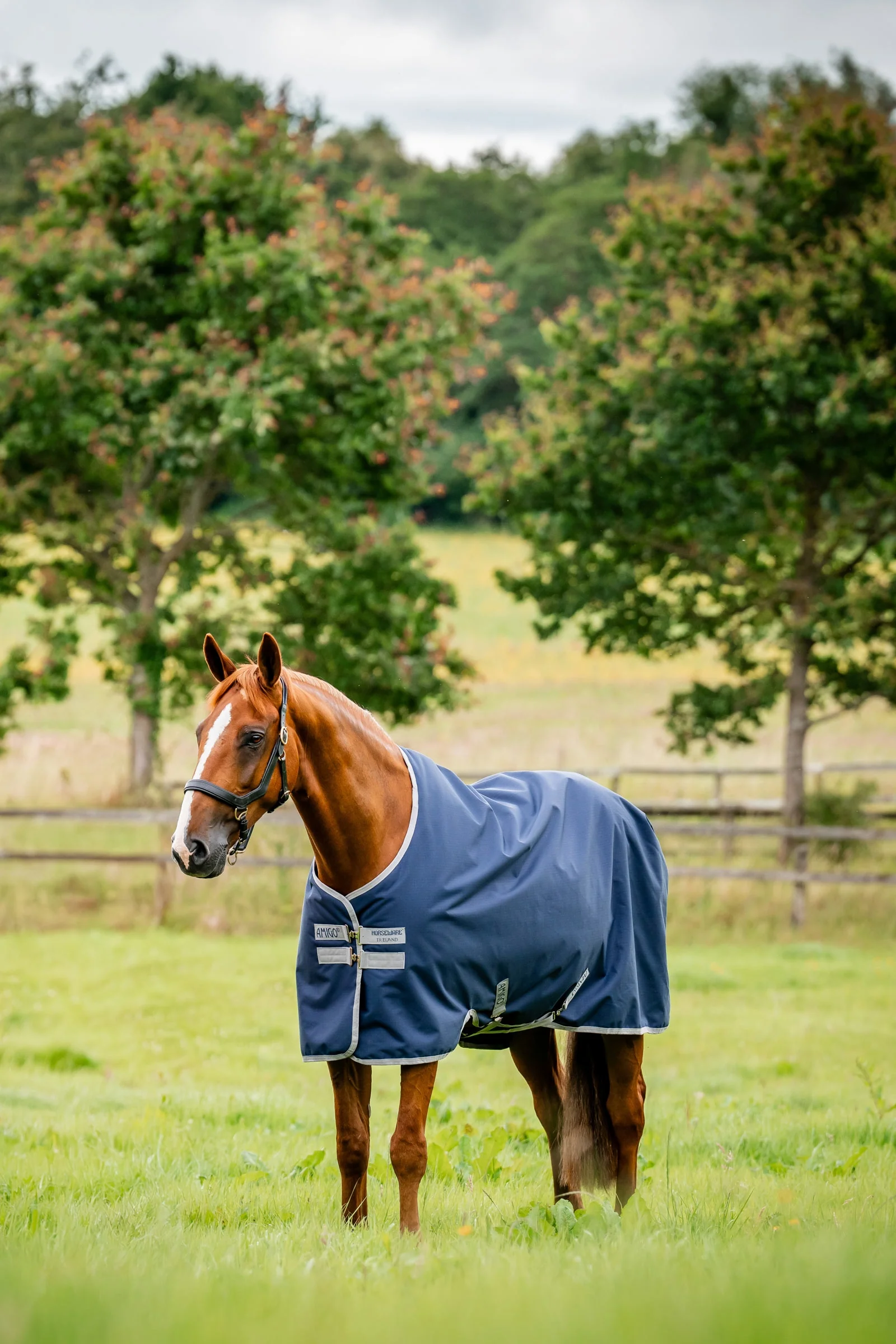 Amigo Ripstop Utedekken 900D, 0g Witney Navy 115