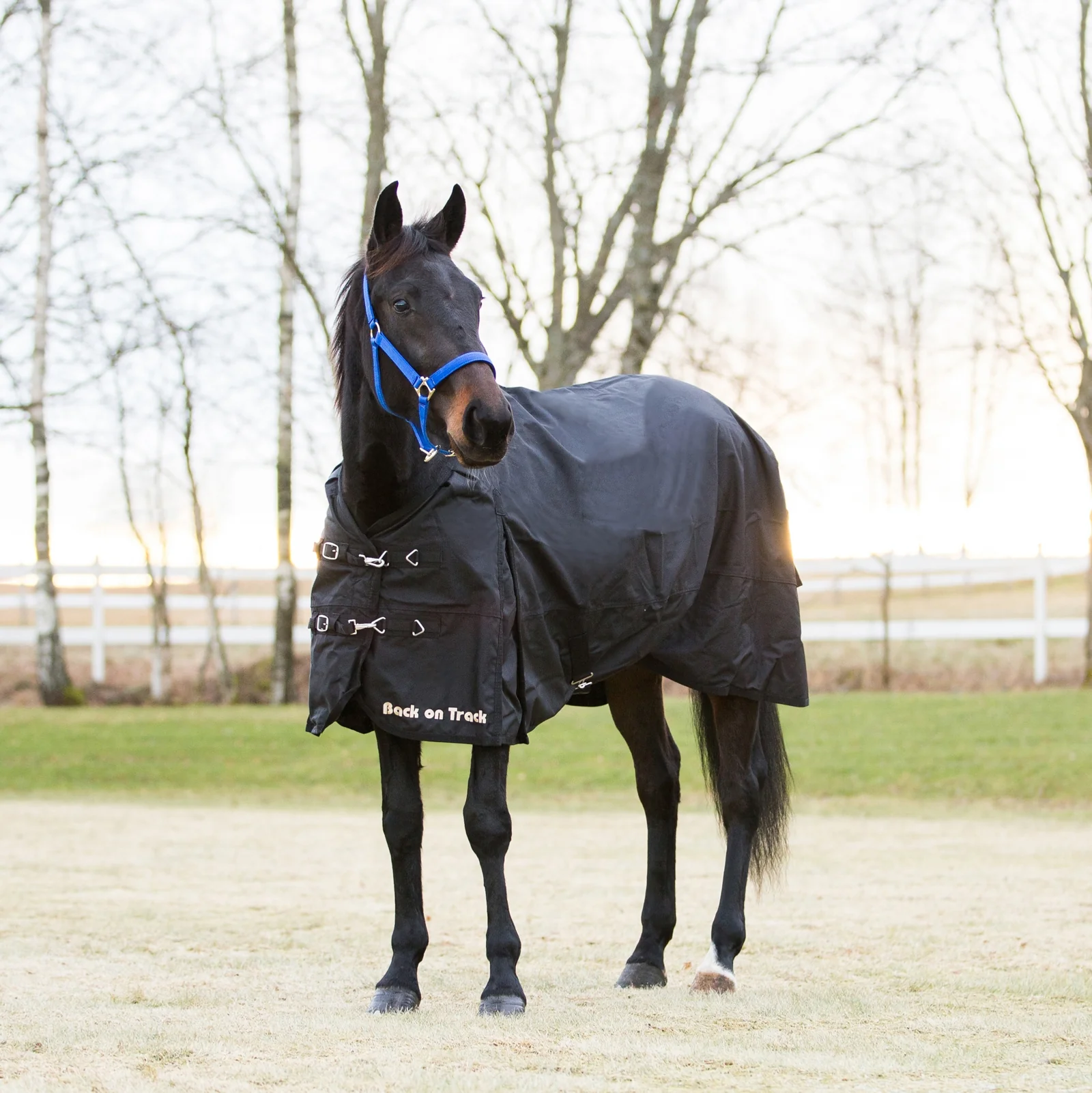 Back On Track regndekken 1680D Black 155