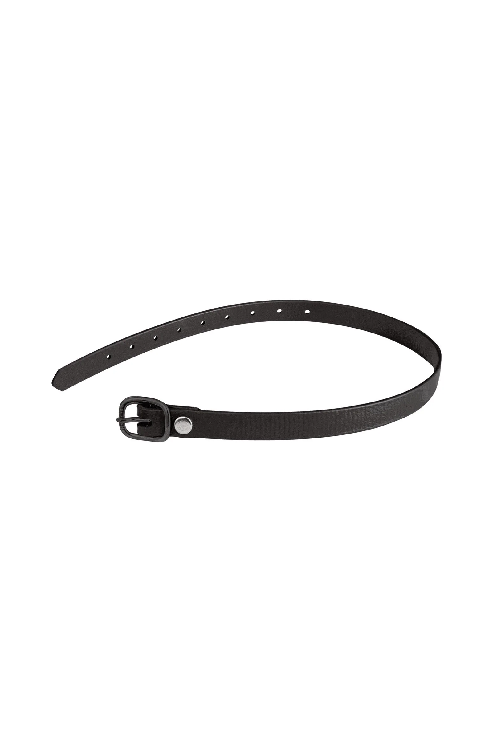 BioThane sporeremmer Black 45