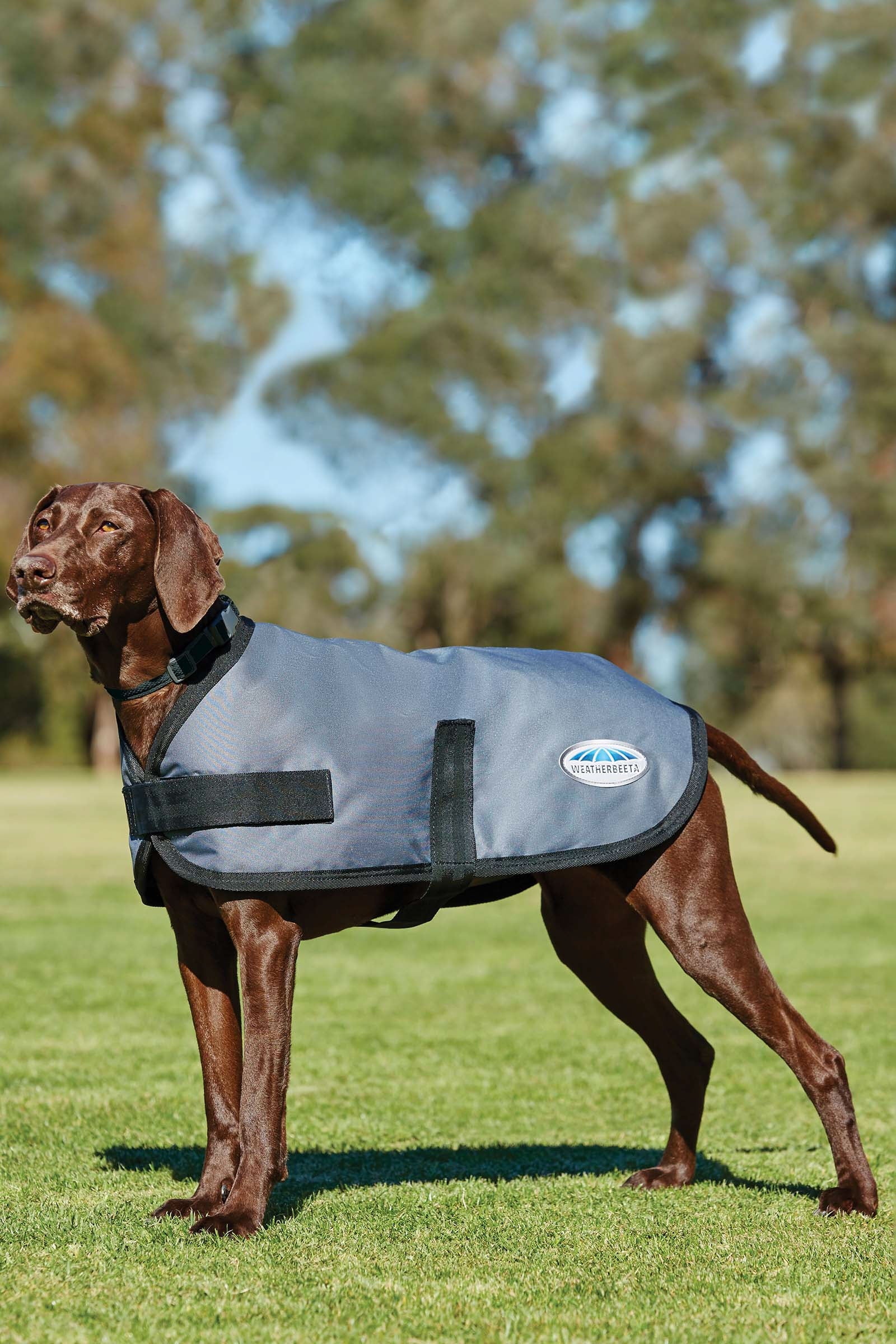 Comfitec Classic hundedekken, (25-40 cm) Dark Grey 35