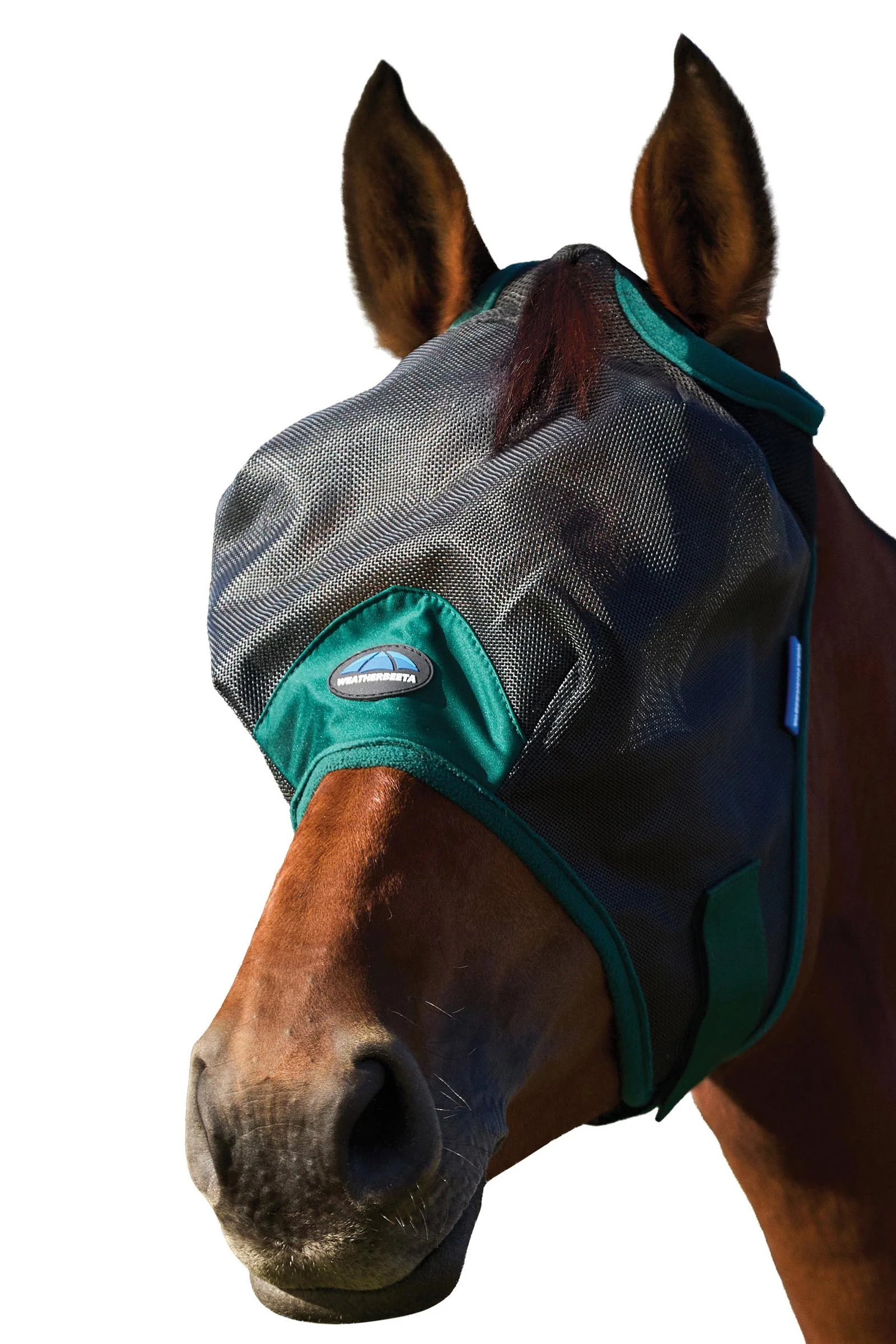 Comfitec Durable Mesh Fluemaske Black/Forest Green S
