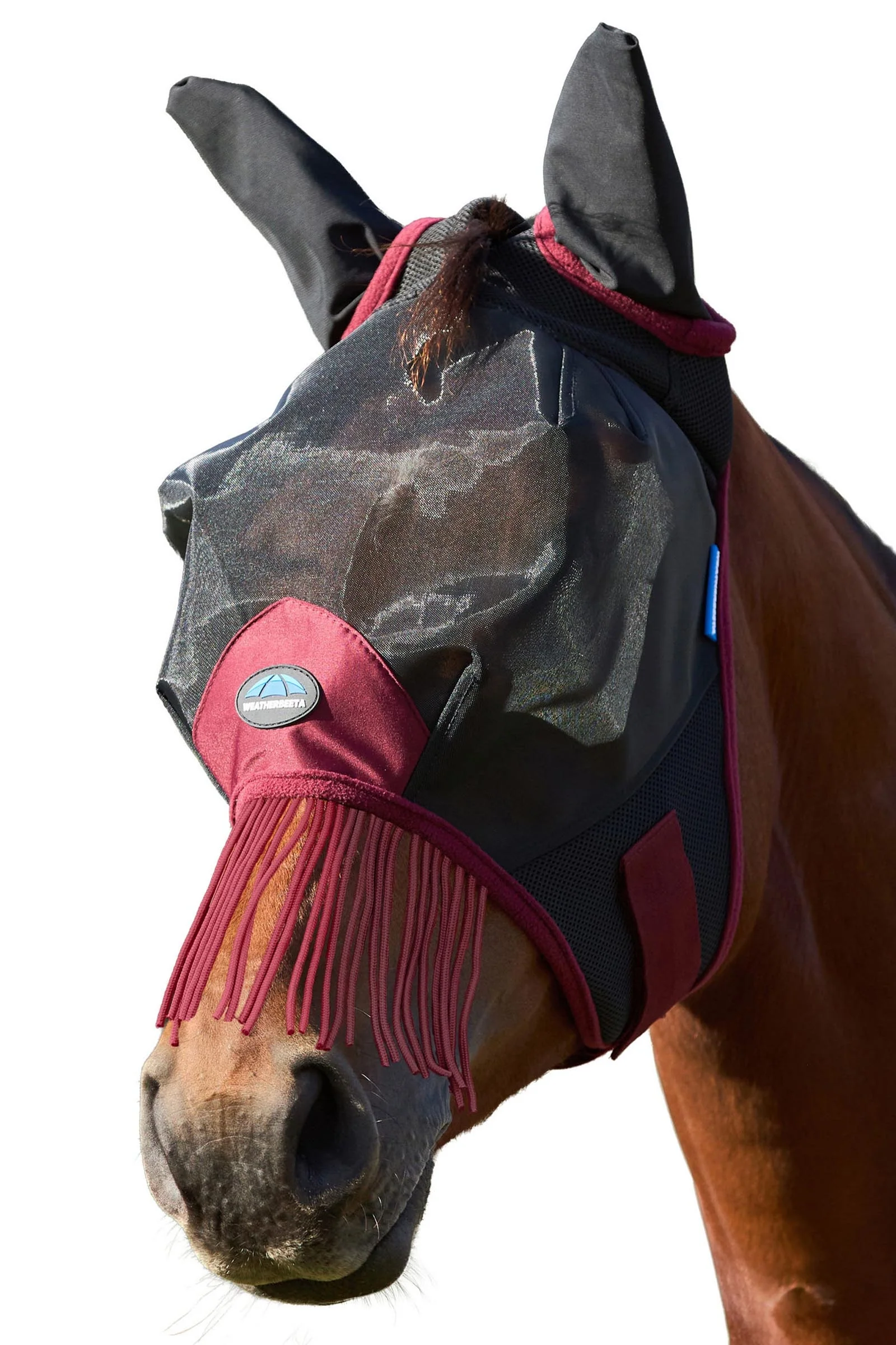 Comfitec Fine Mesh Fluemaske med ører og frynser Black/Burgundy L