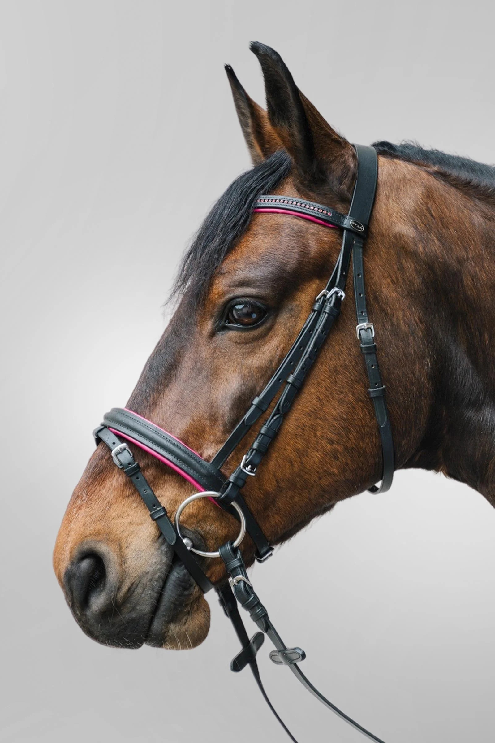 Diamant hodelag med kombinert nesereim Black/Fuchsia F