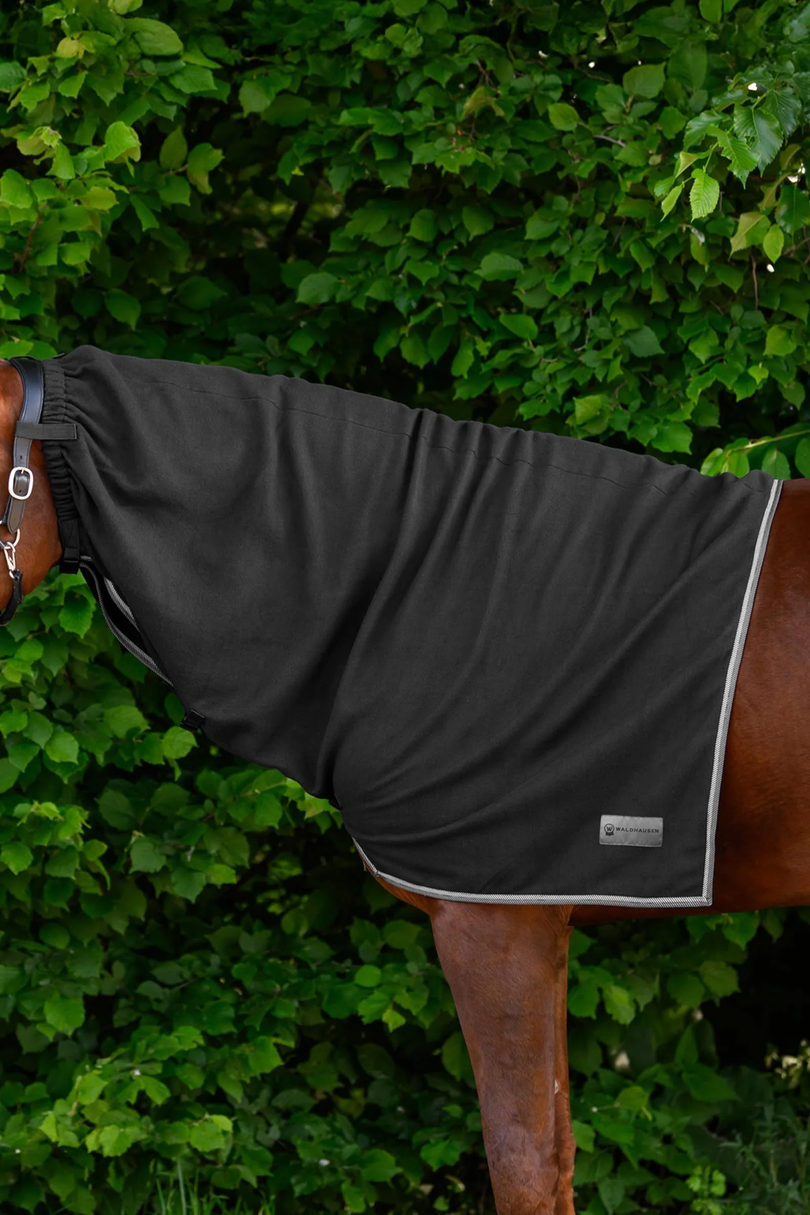 ECONOMIC fleece halsdel Black C