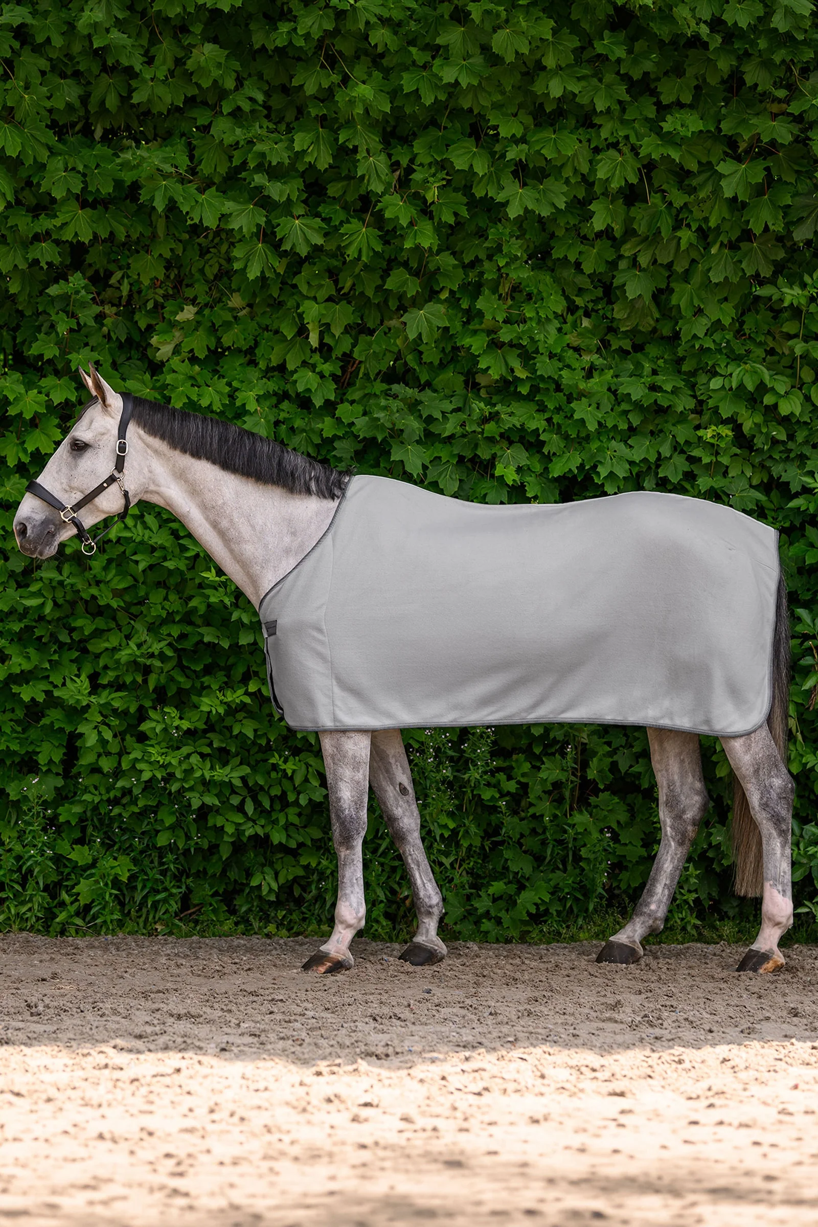 ECONOMIC fleecedekken Silver Grey 155