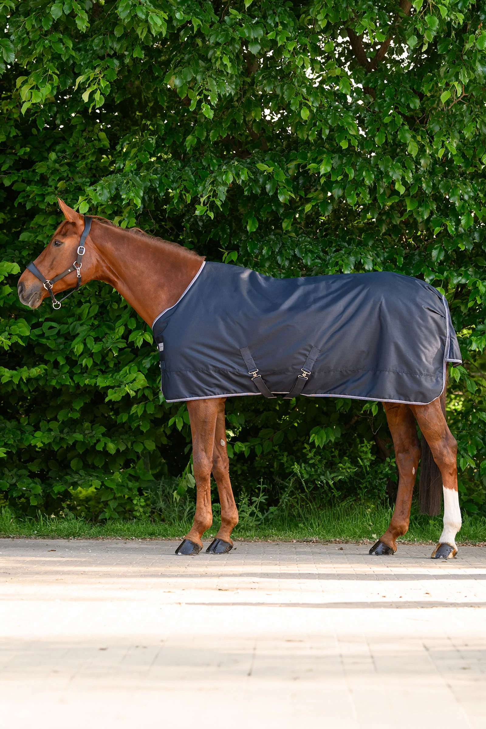 ECONOMIC lett utedekken Night Blue 145
