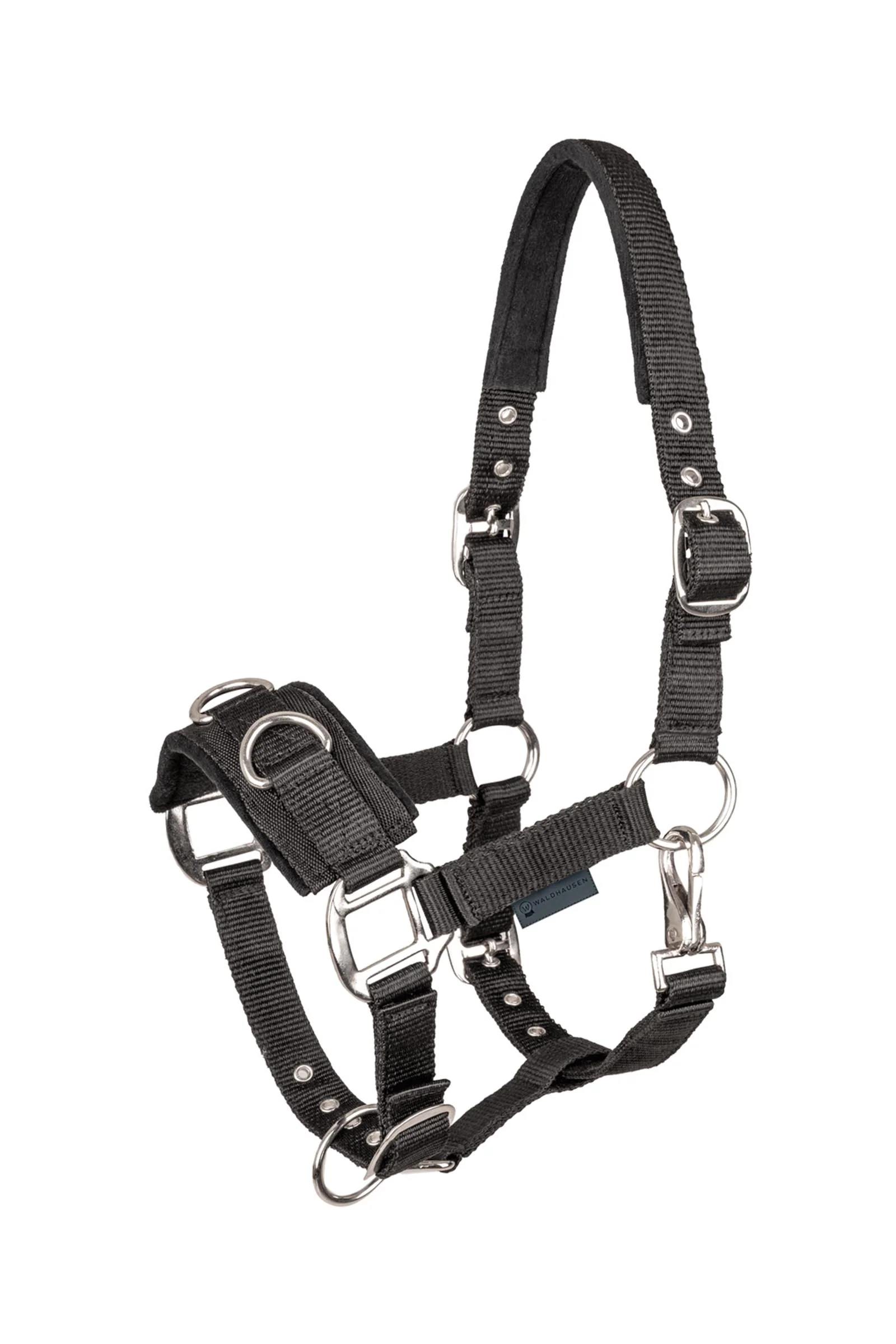 Economic longegrime Black SHP