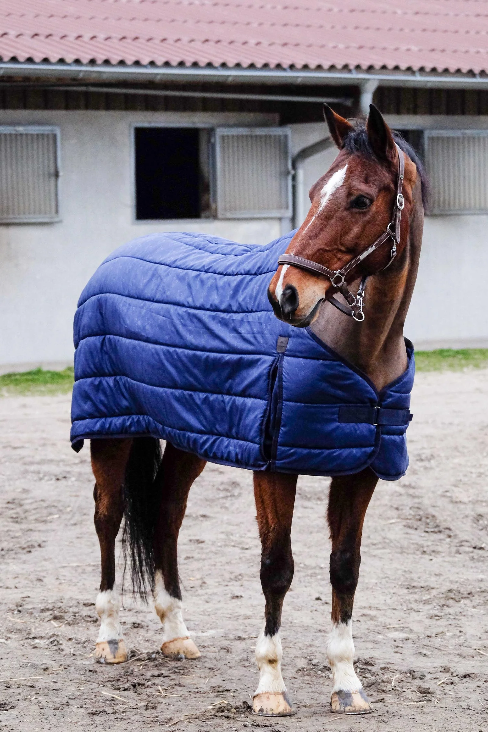Classic underdekken, 300 g Navy 125