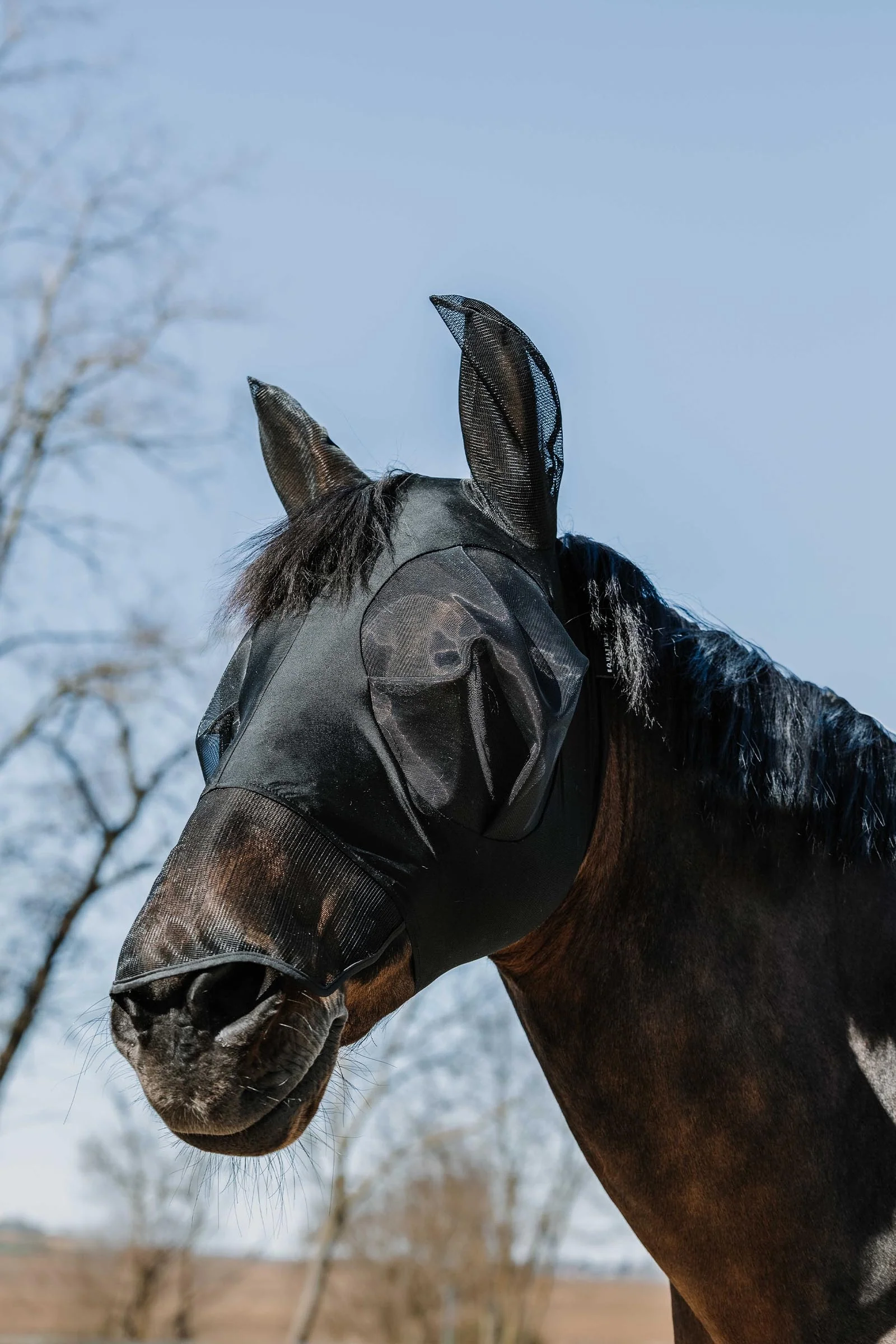 Lycra fluemaske / UV-maske + mule Black S