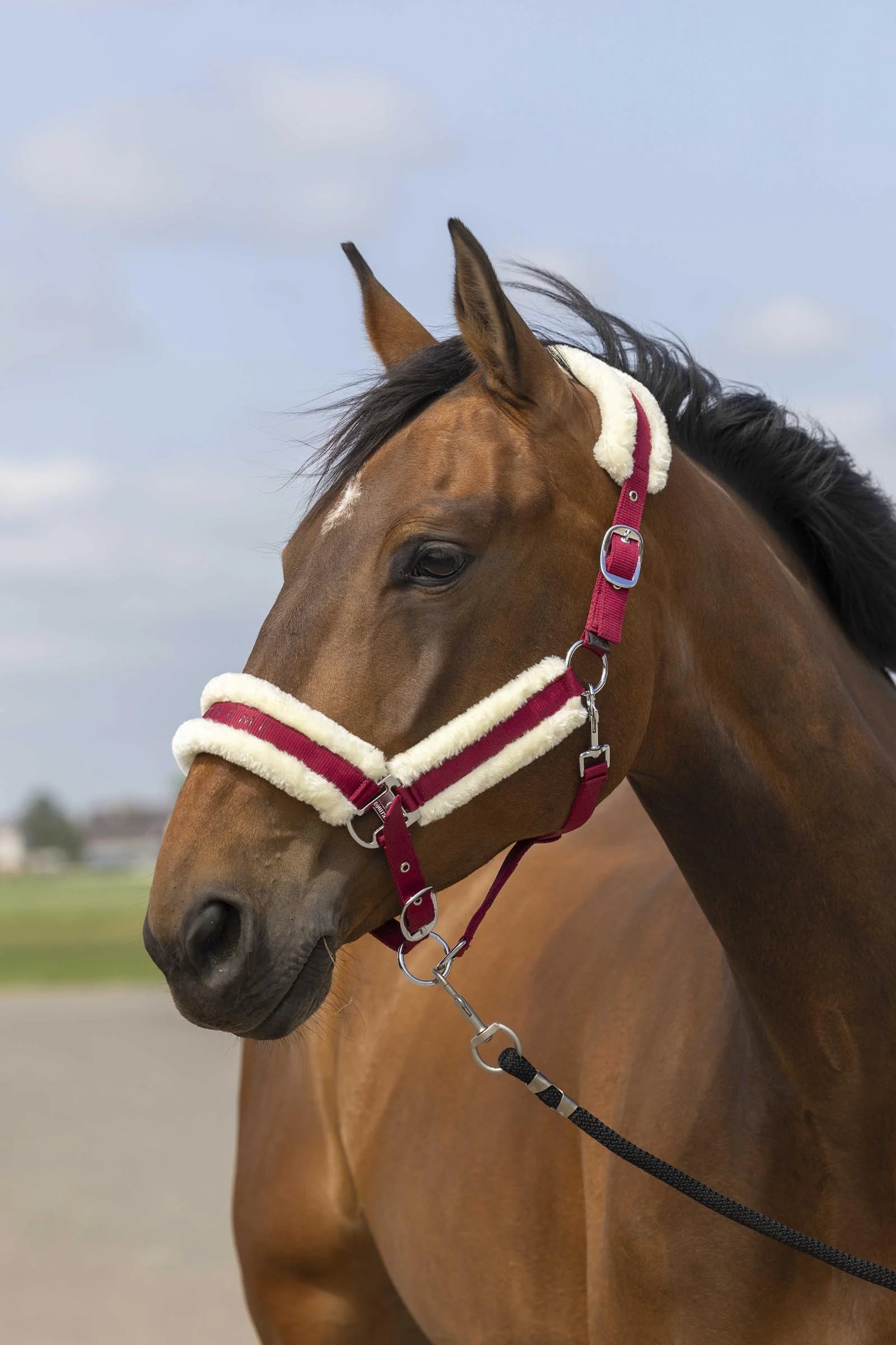 Nylon Mouton grime Burgundy/White SHP