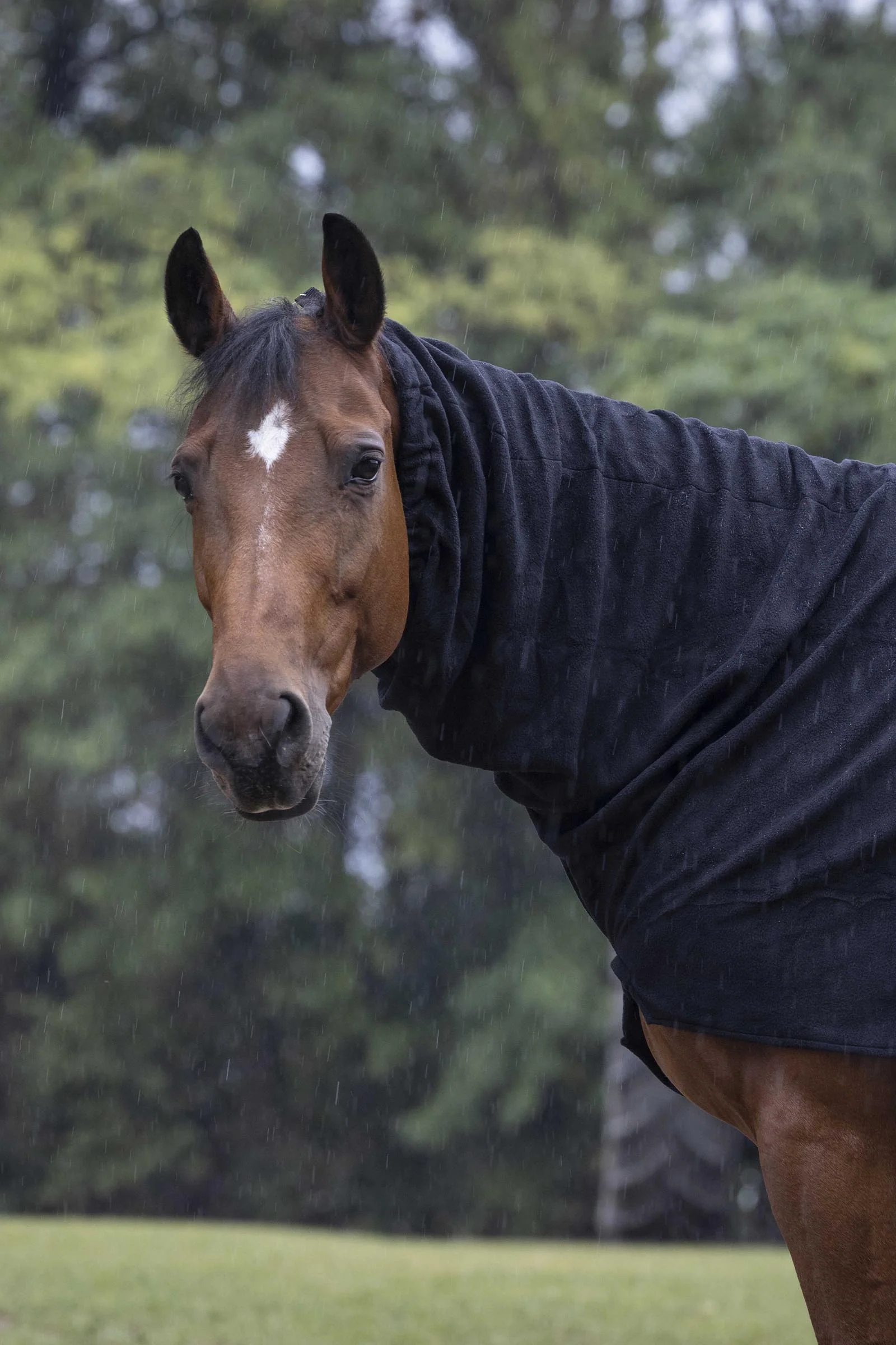 Polar Fleece halsdel Black P