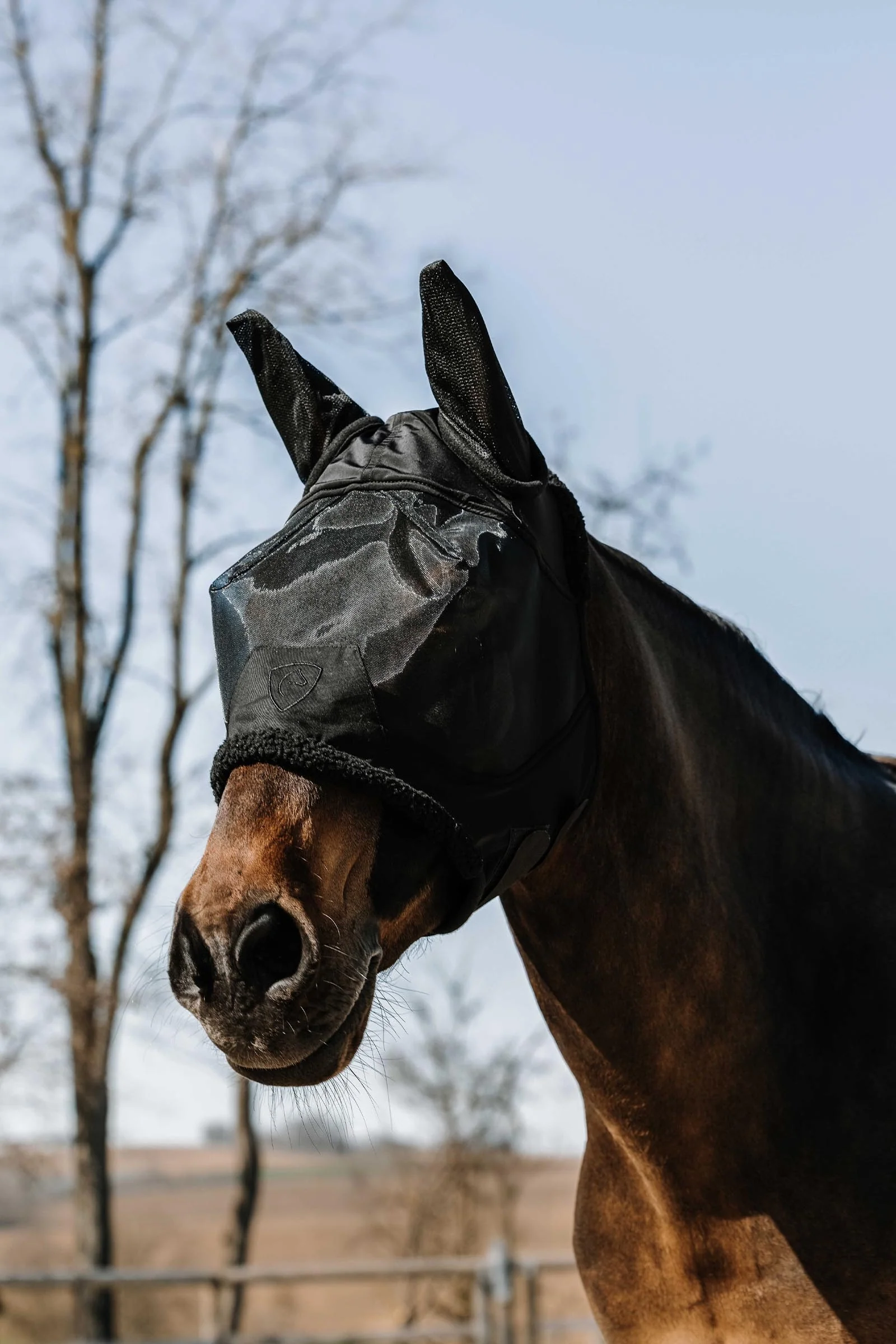 Teddy fluemaske / UV-maske Black S