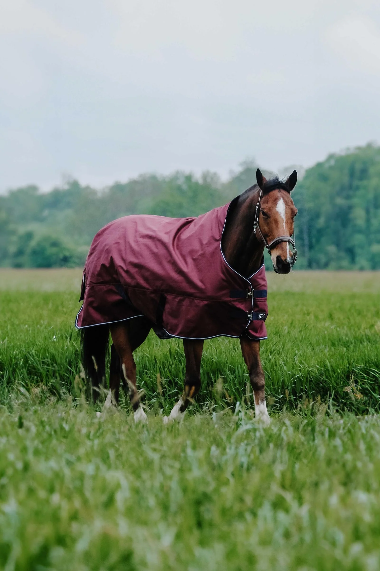 TYREX 1200D dekken med høy hals, 150 g Burgundy 155