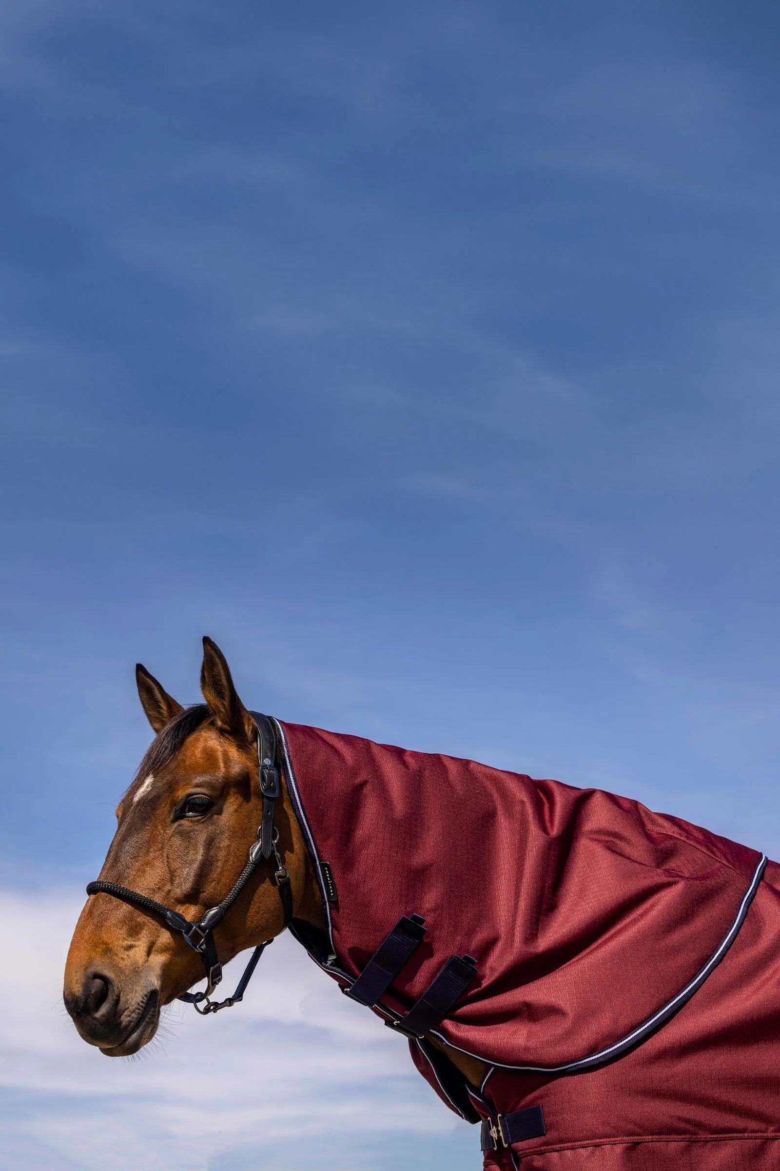 TYREX 1200D halsdel, 0 g Burgundy P