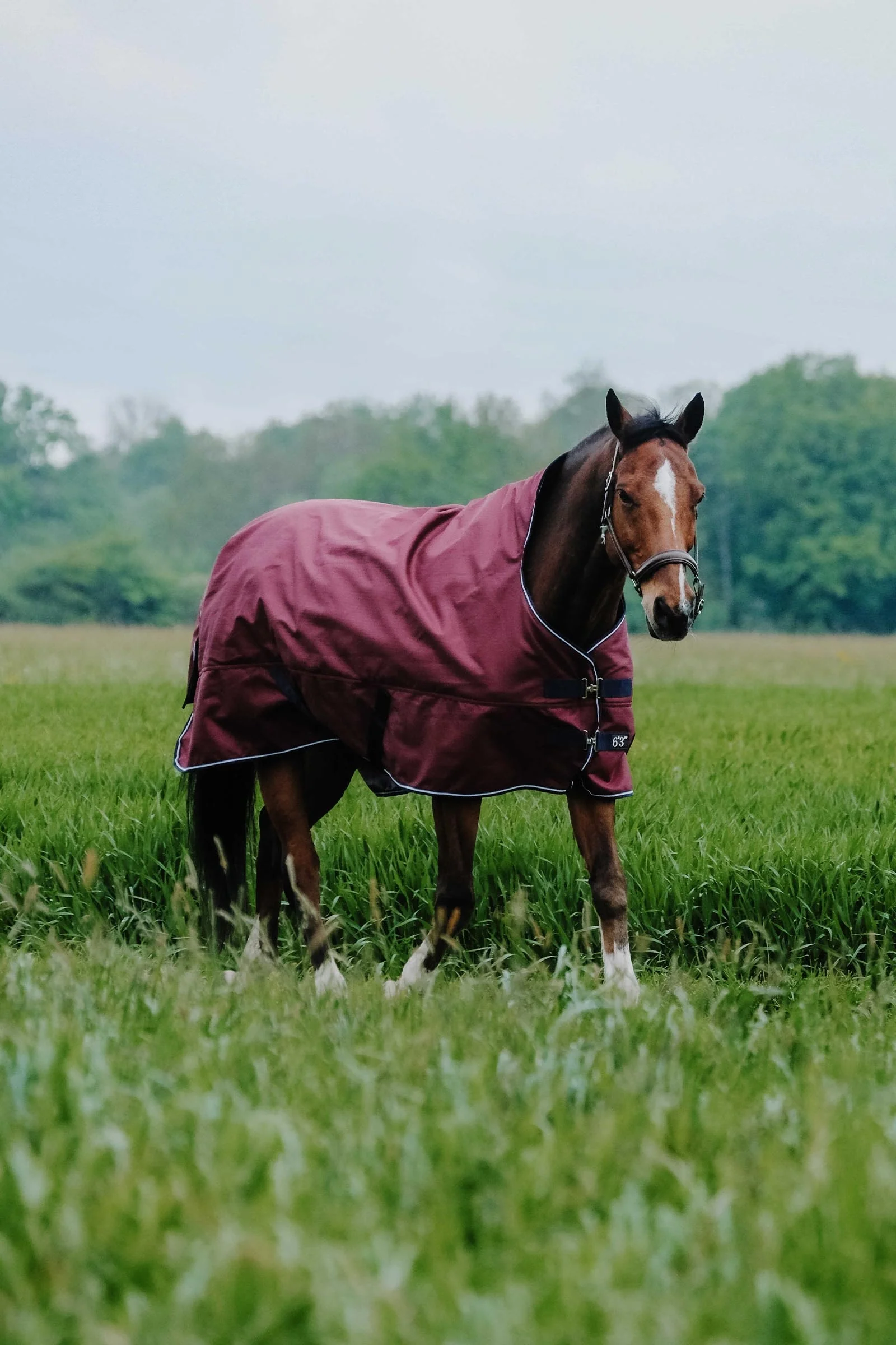 TYREX 1200D utedekken, 150 g Burgundy 145