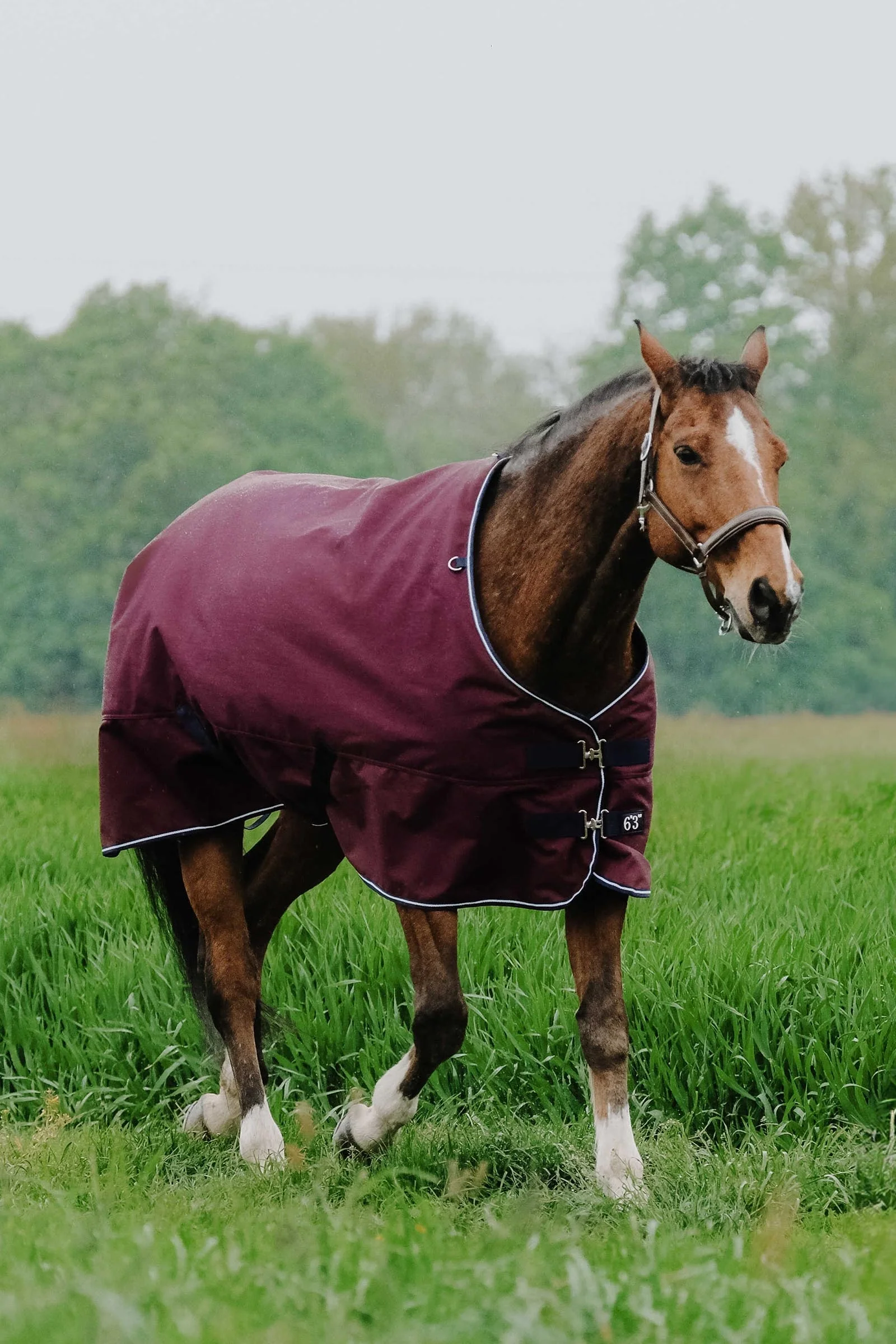 TYREX 1200D utedekken, 50 g Burgundy 155