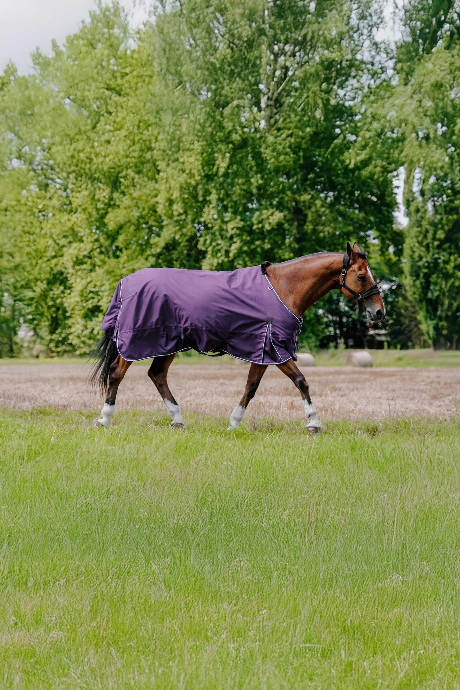 TYREX Aisance 600D utedekken, 0 g Plum 165