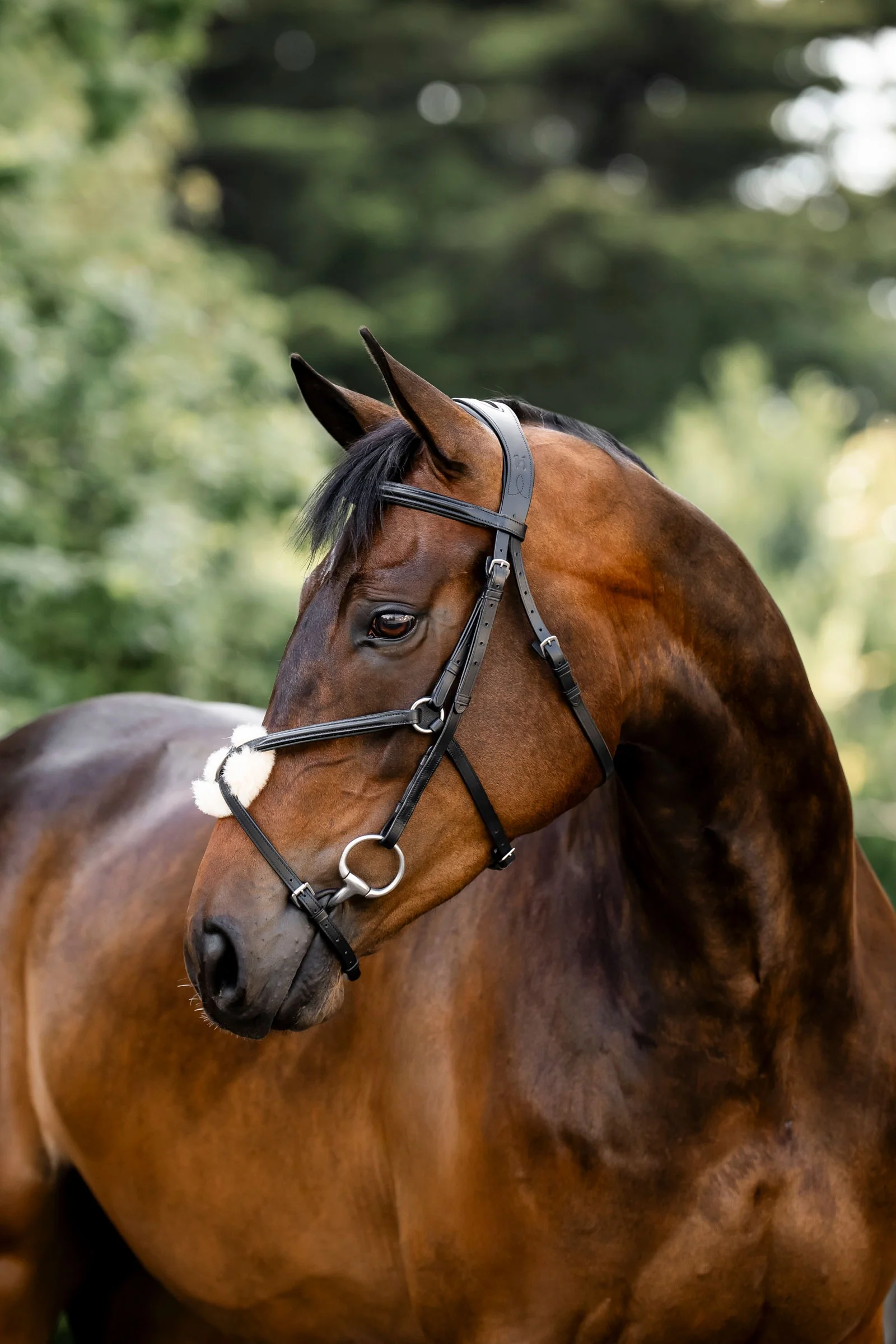 trinse med åttetallsnesereim Black X-Full