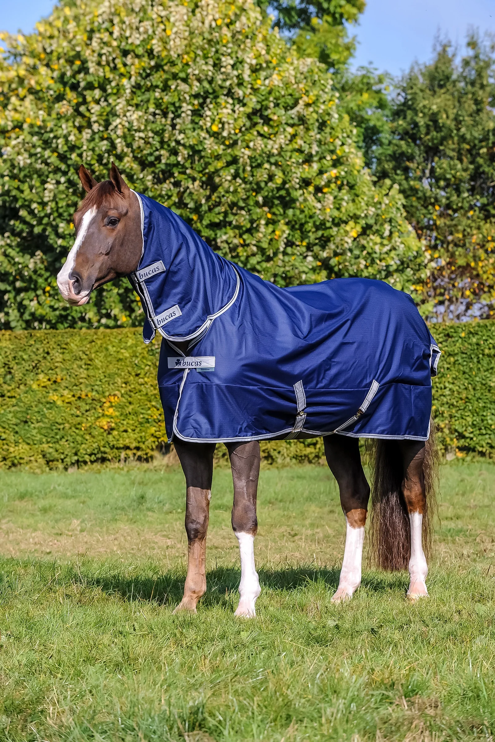 Freedom lett pony utedekken med fast hel hals Navy 85