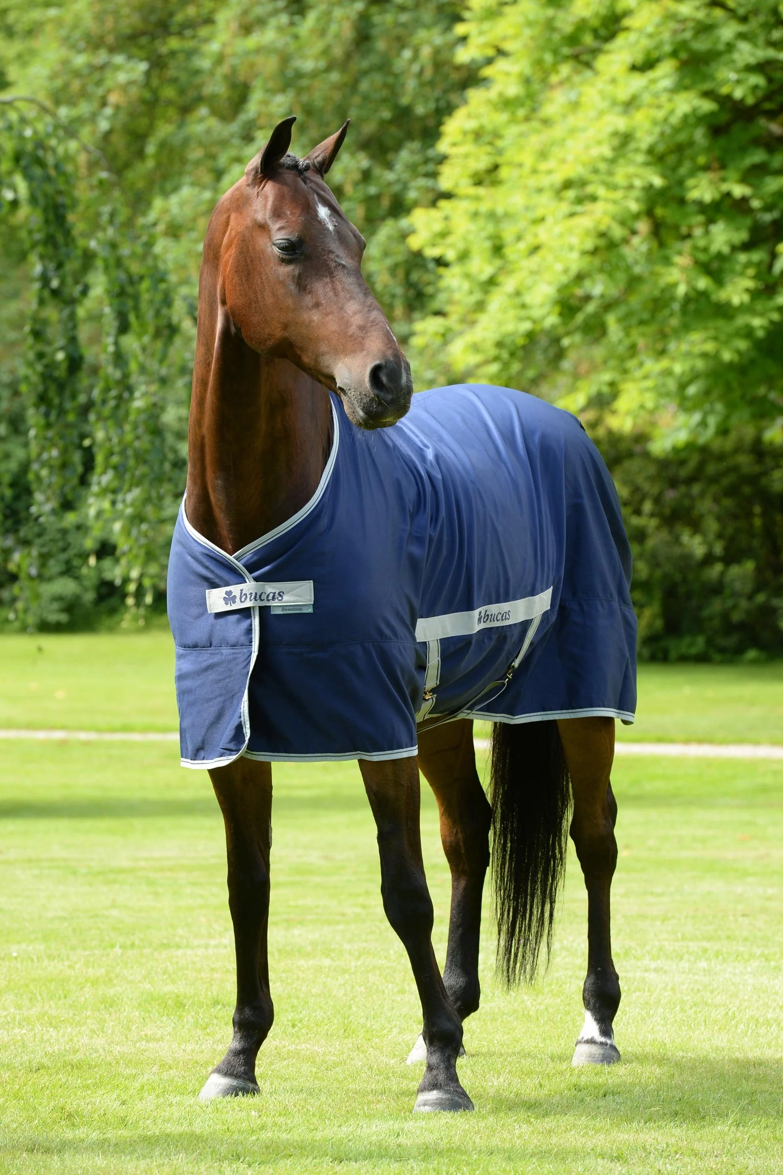Freedom Twill stalldekken, 0 g Navy 155