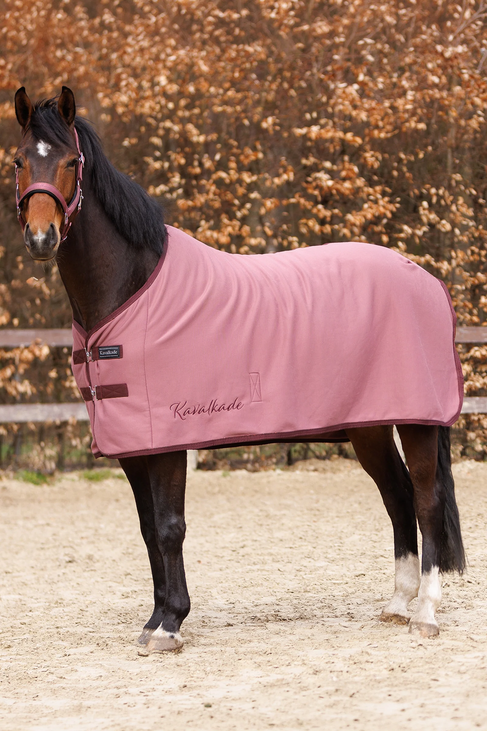 Graceful jerseydekken Mauve/Bordeaux 135