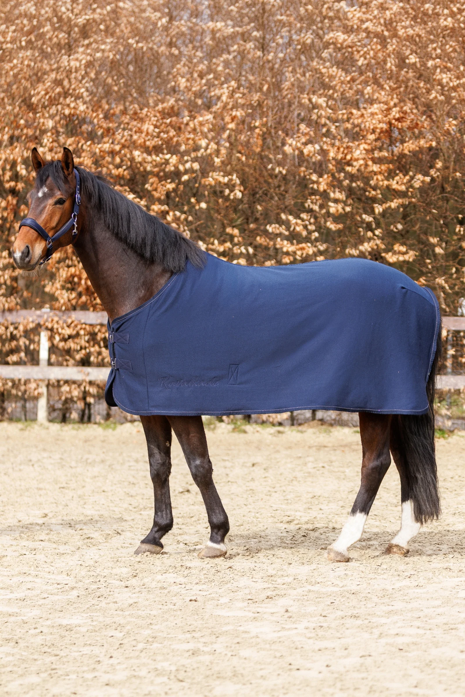 Graceful jerseydekken Navy/Navy 145