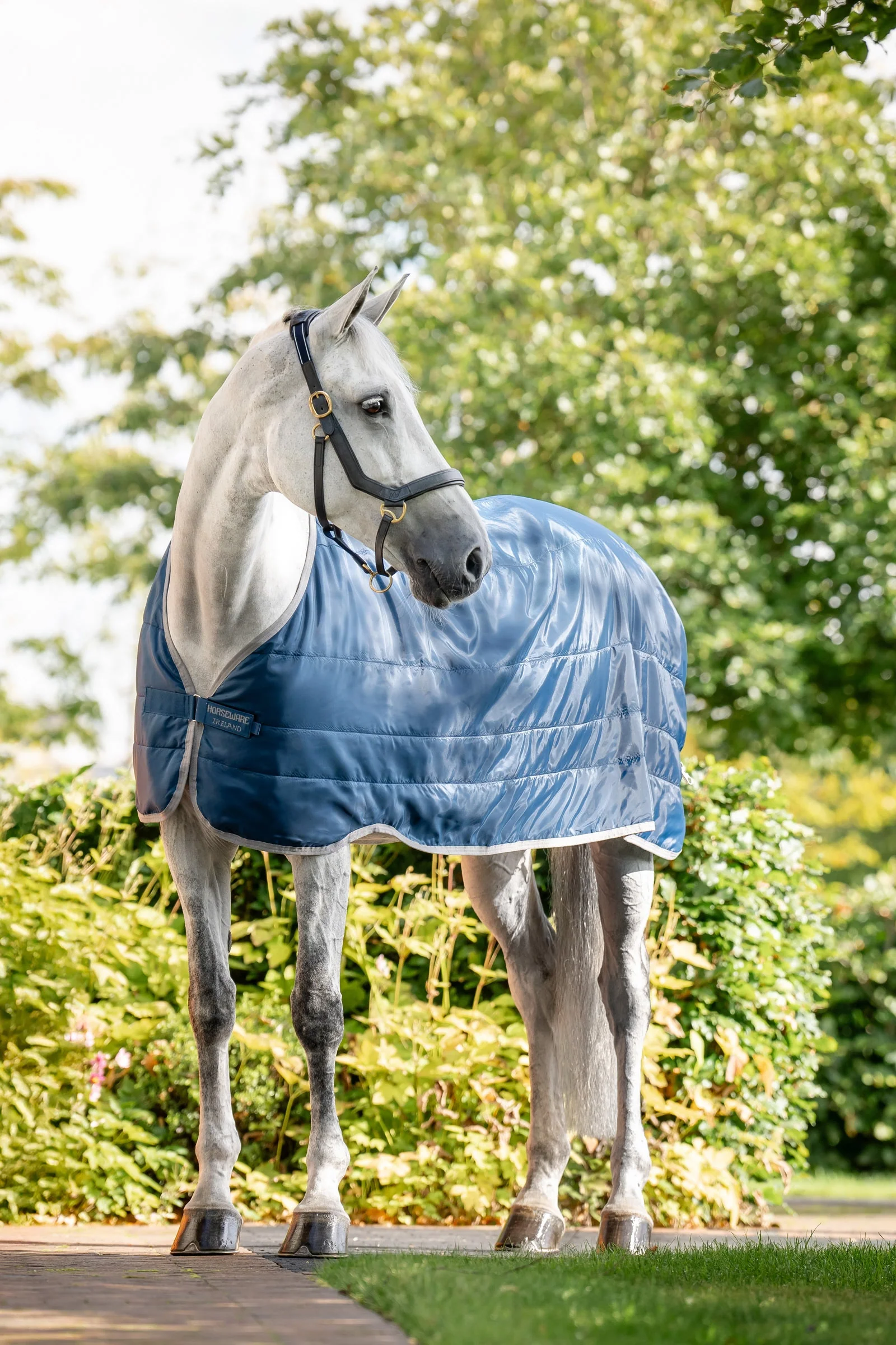 Ionic Therapy innerdekken 200 g Imperial Blue/Silver & Navy 125