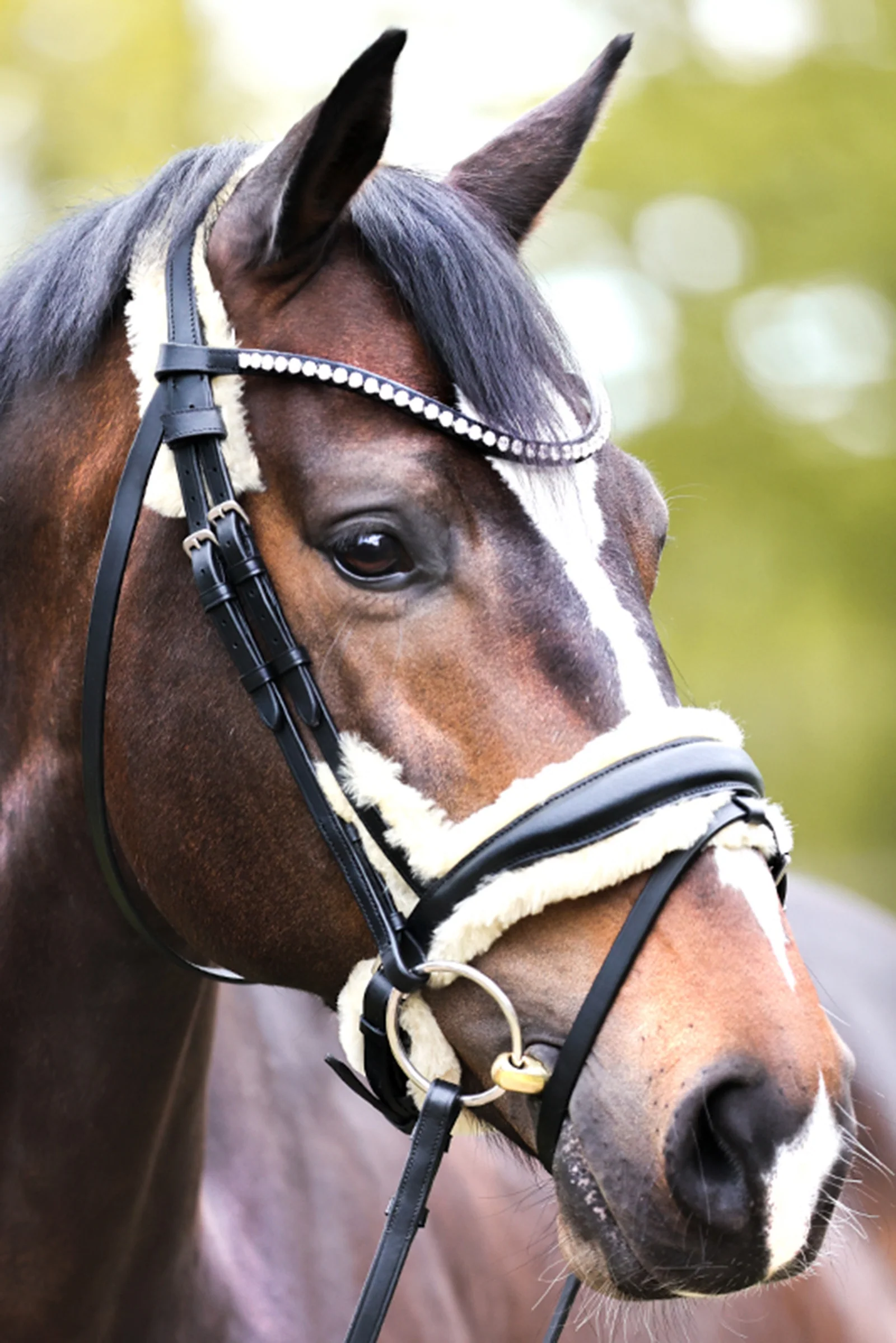 Joyce KavalSH4 Hodelag Black F