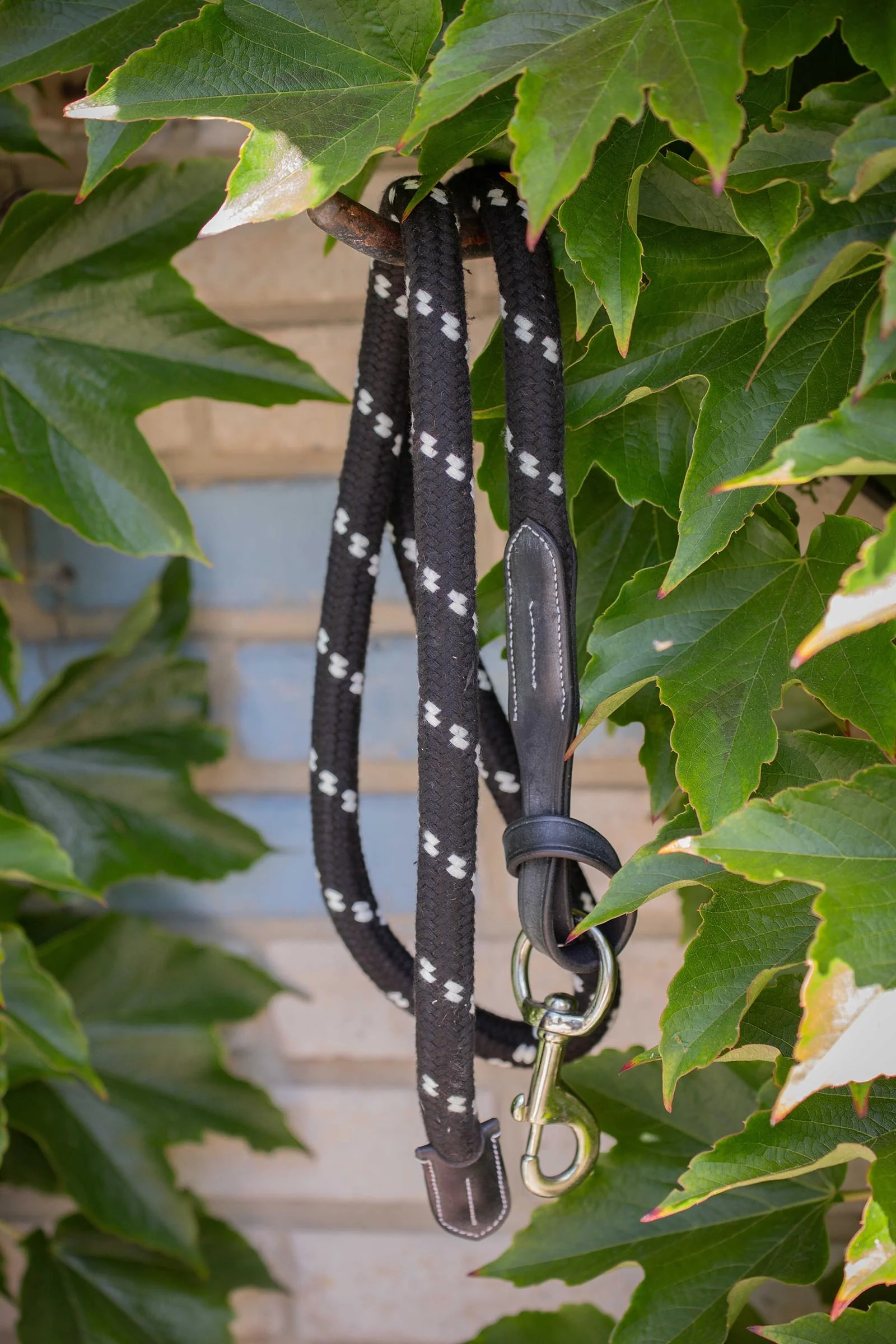 Longeline i tau og lær (1,5 m) Black 150