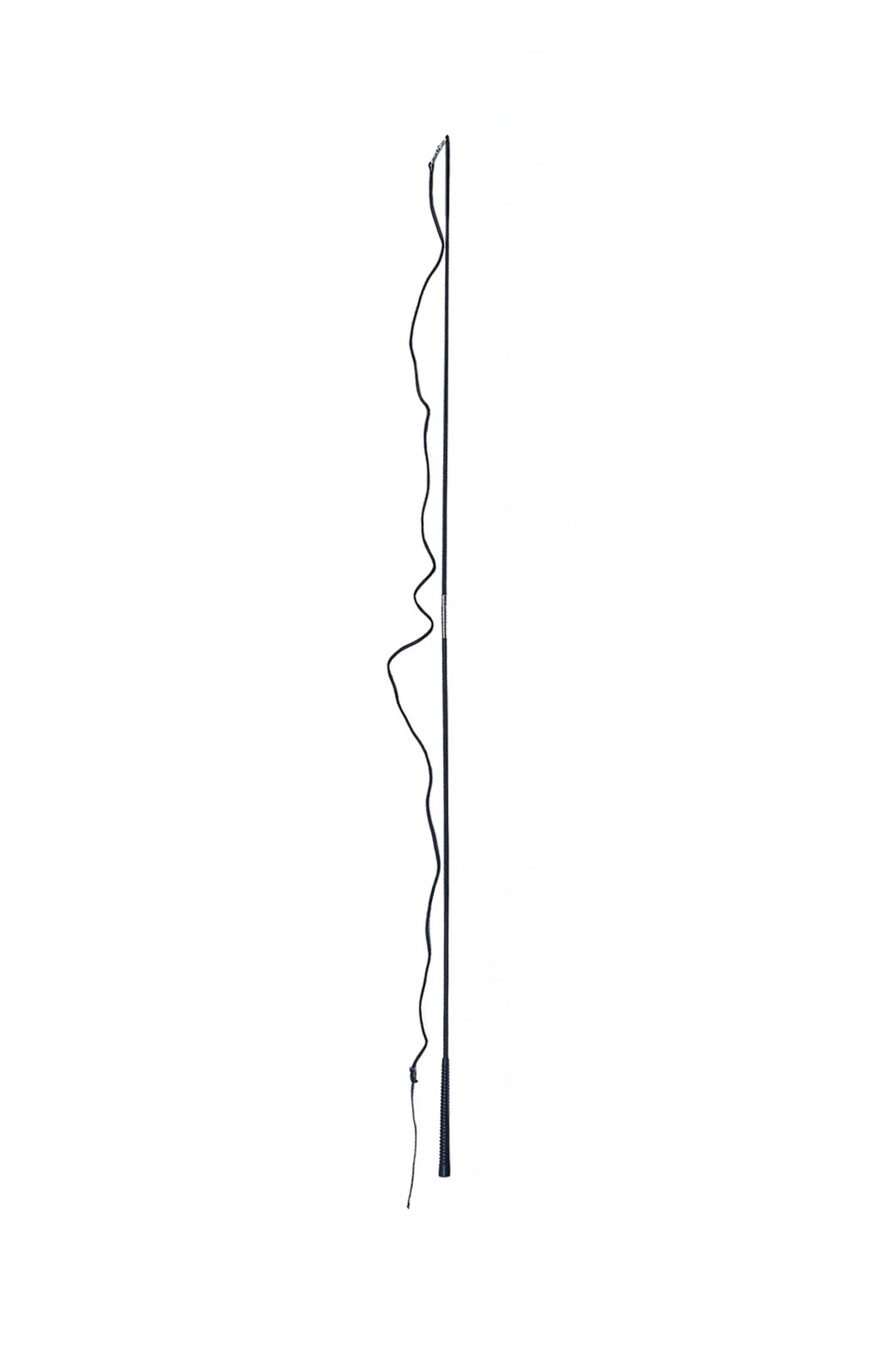longepisk med avtakbar lash (2 m) Black 200
