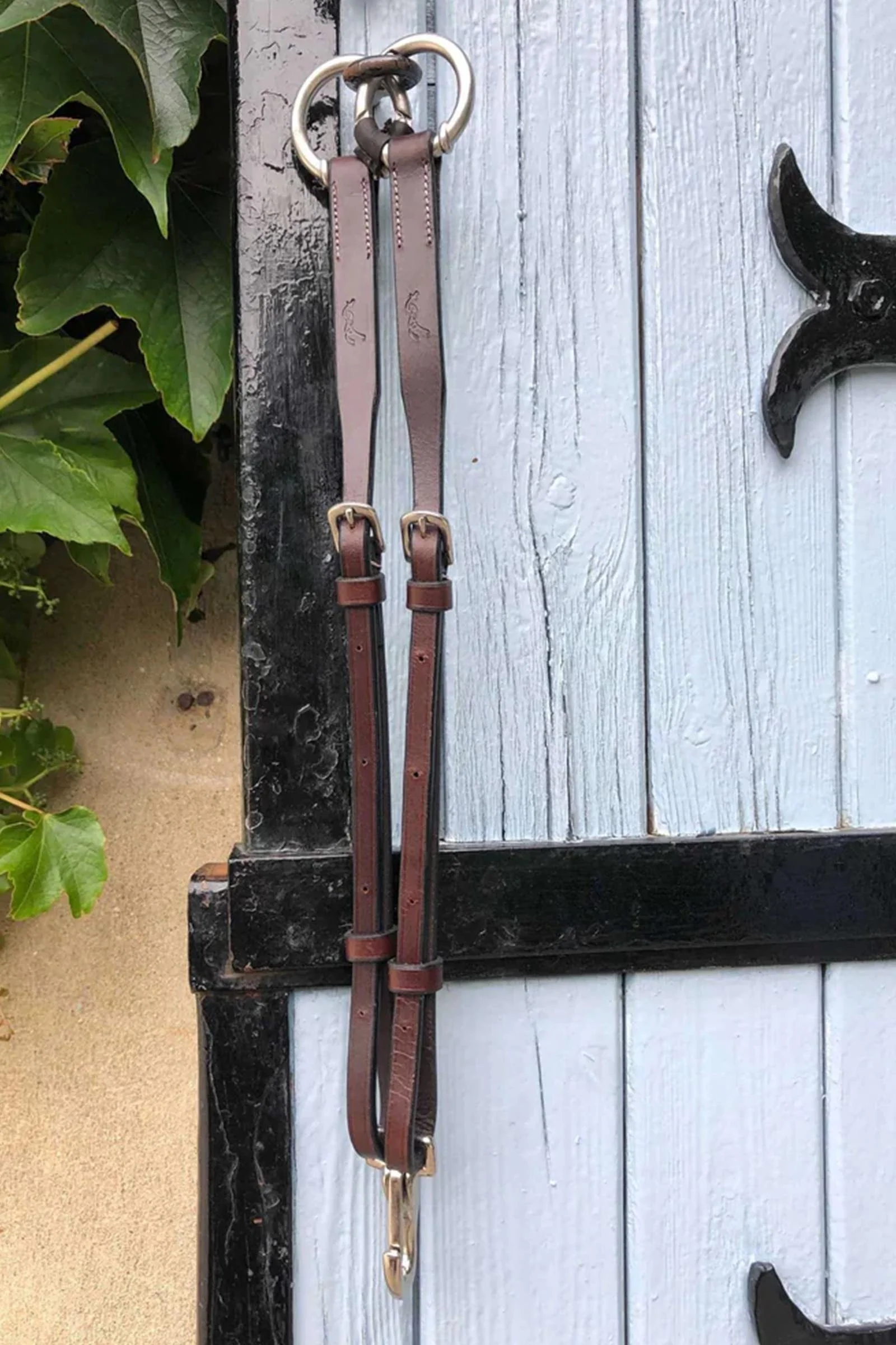 Martingalgaffel Brown F