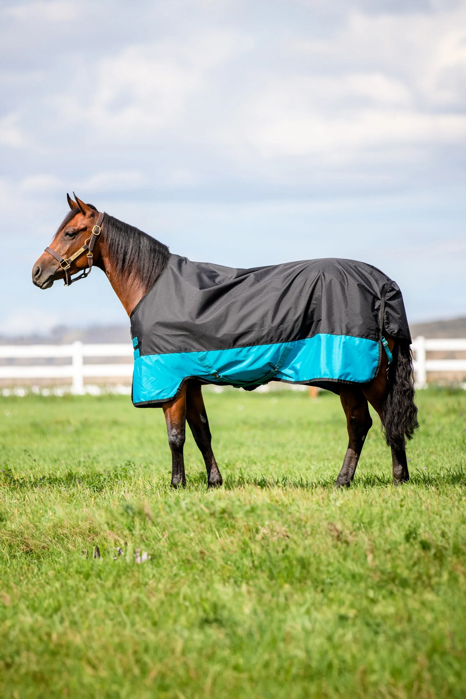 Mio utedekken, 200 g Black/Turquoise Blue 85