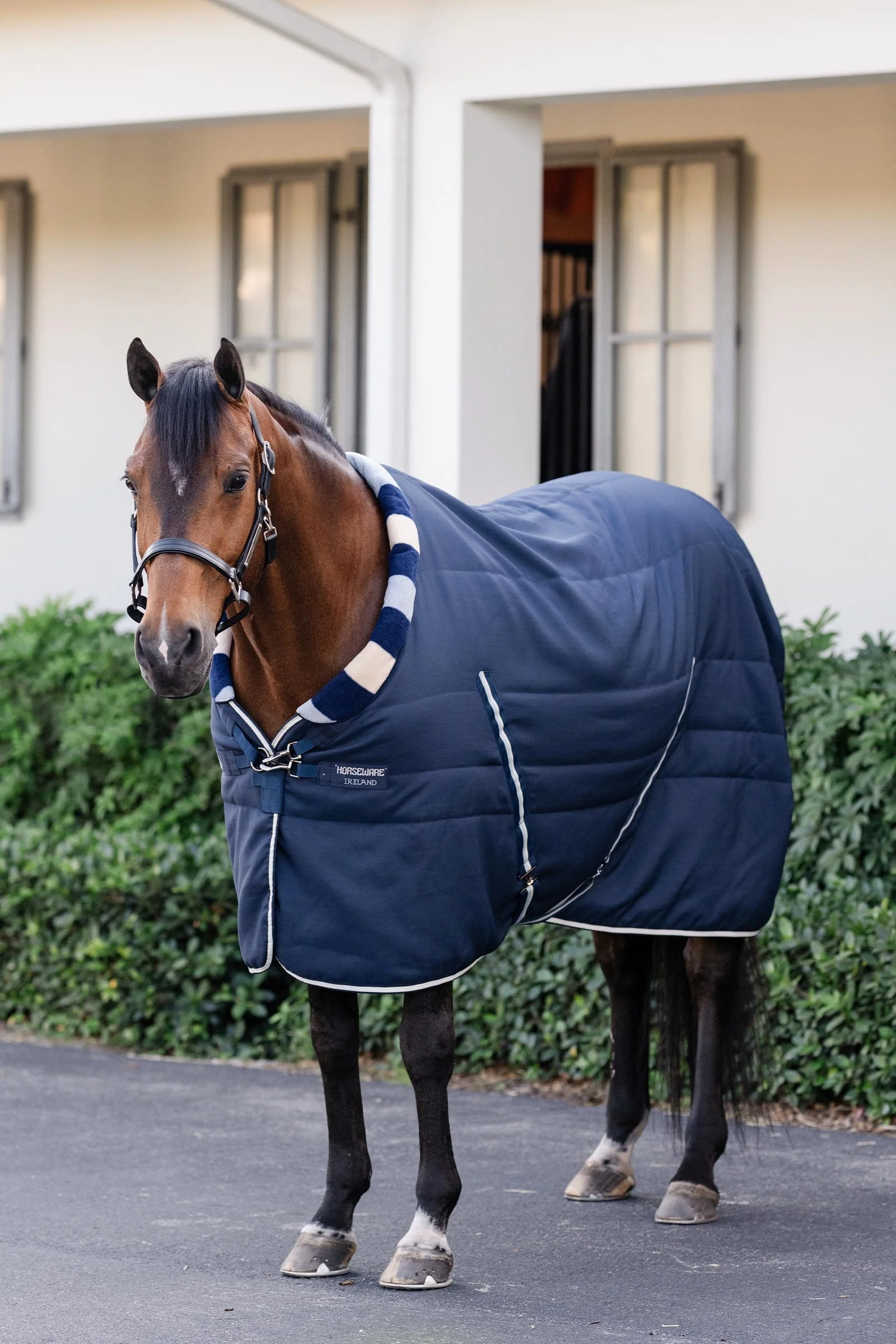Newmarket Cosy Stalldekken 100g Witney Navy 165