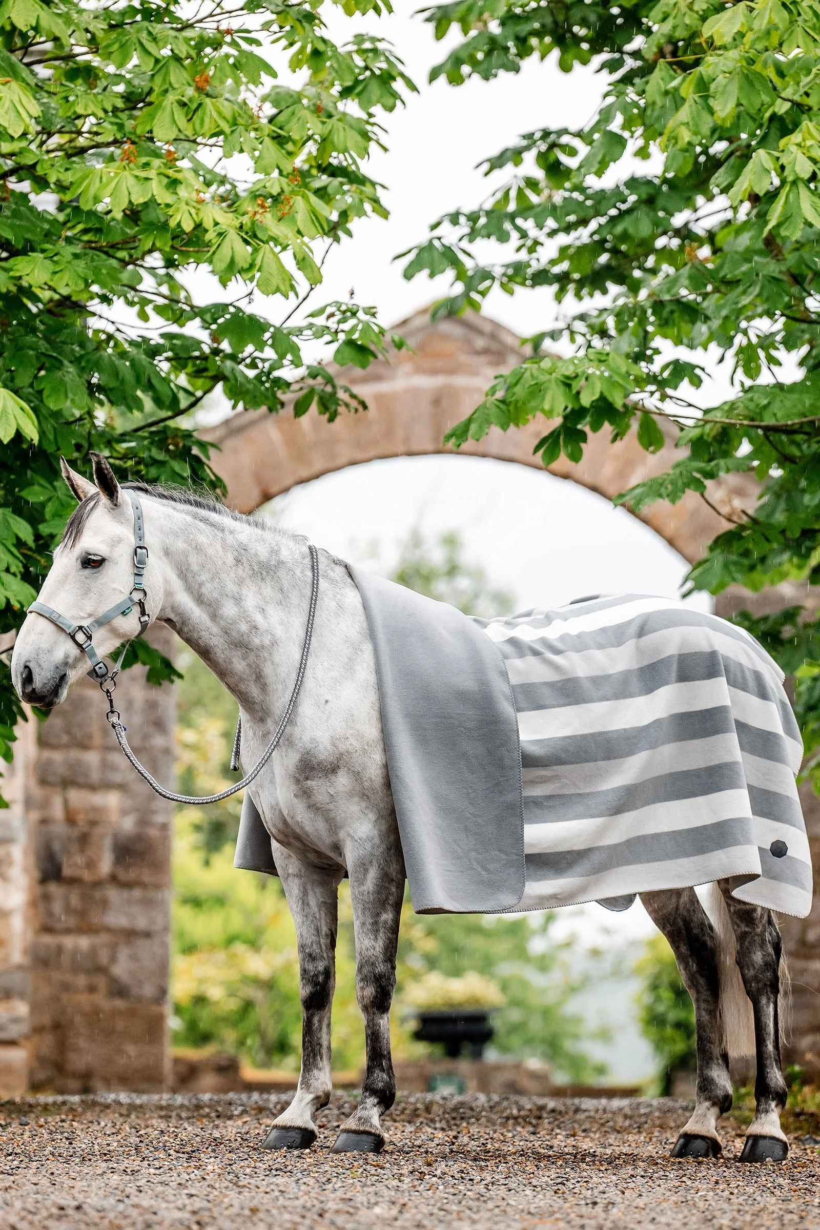Newmarket Fleece (Kvadratisk) Witney Charcoal P