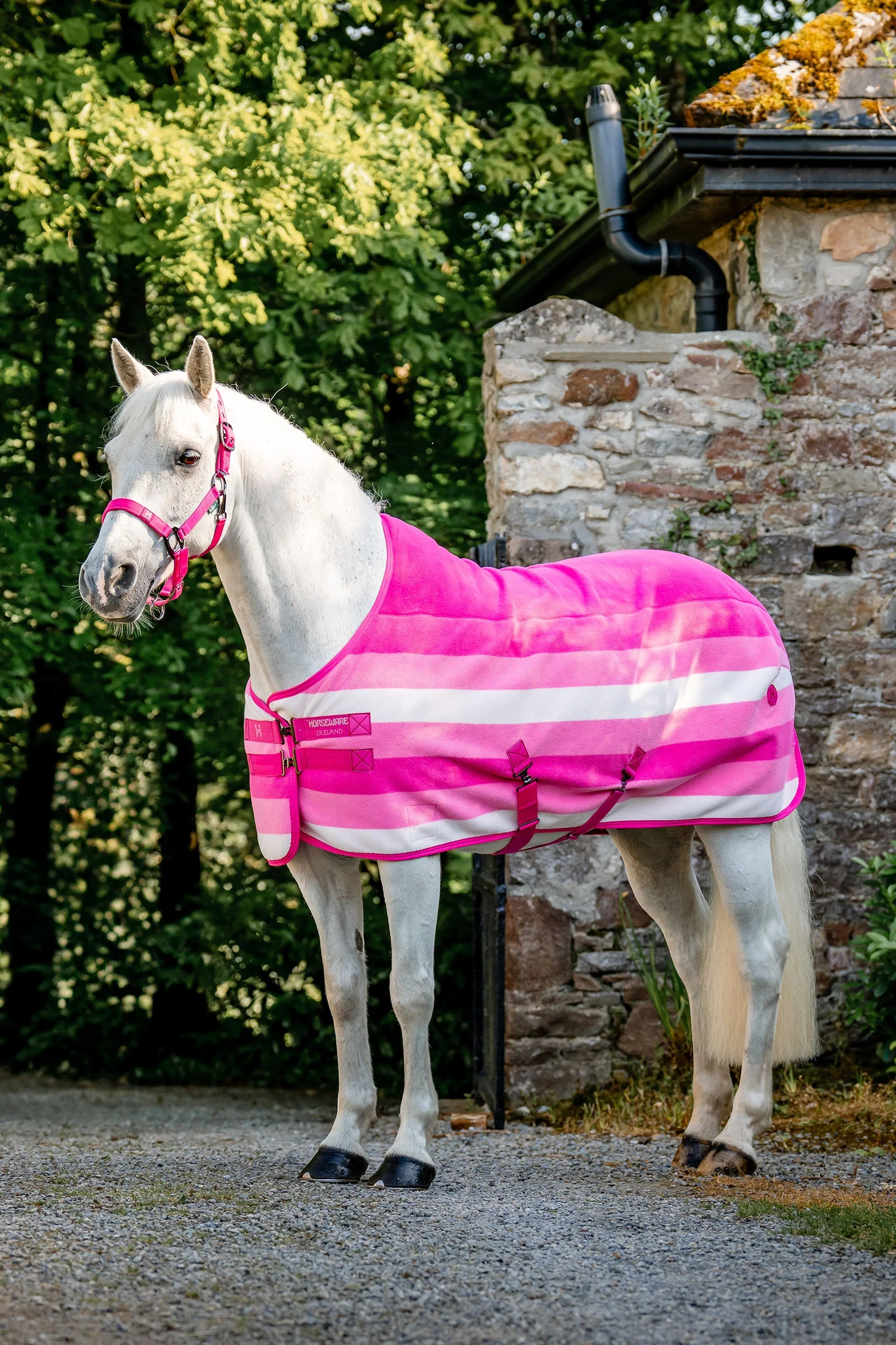 Newmarket Fleecedekken Witney Pink 115