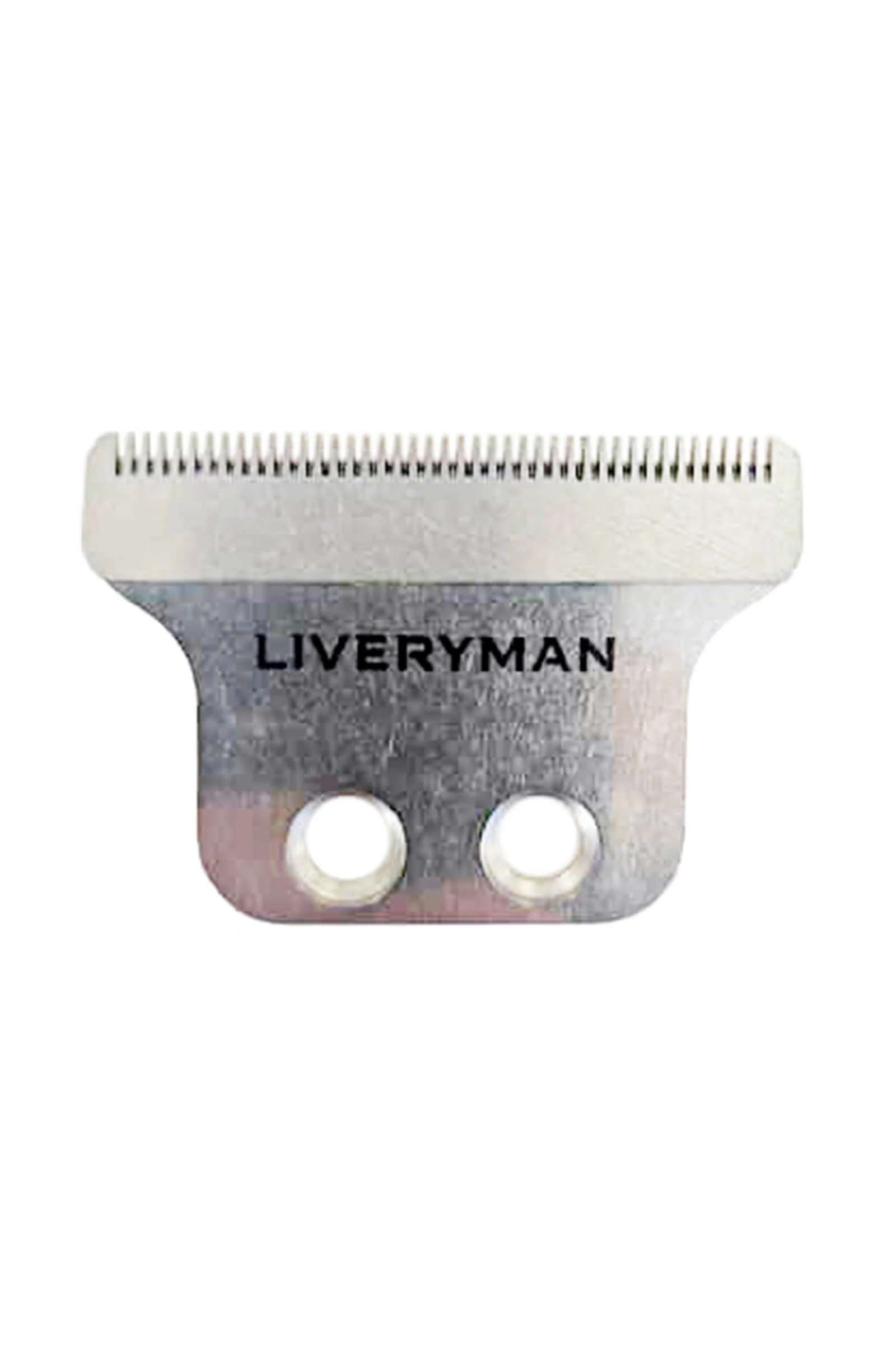 Miniatyr 1