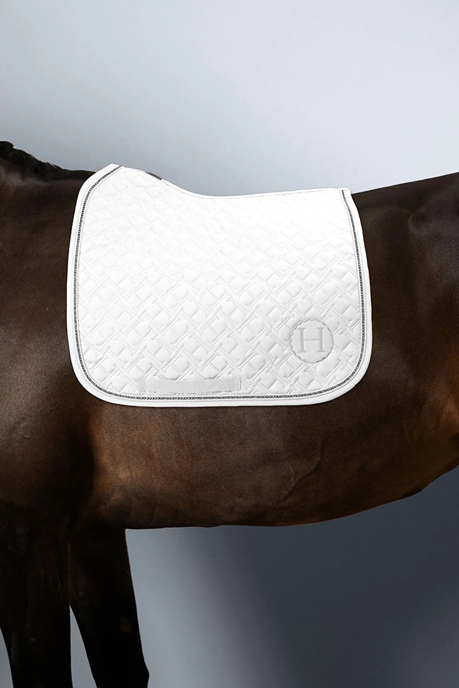 Saphir dressursjabrak Blanc (White) F