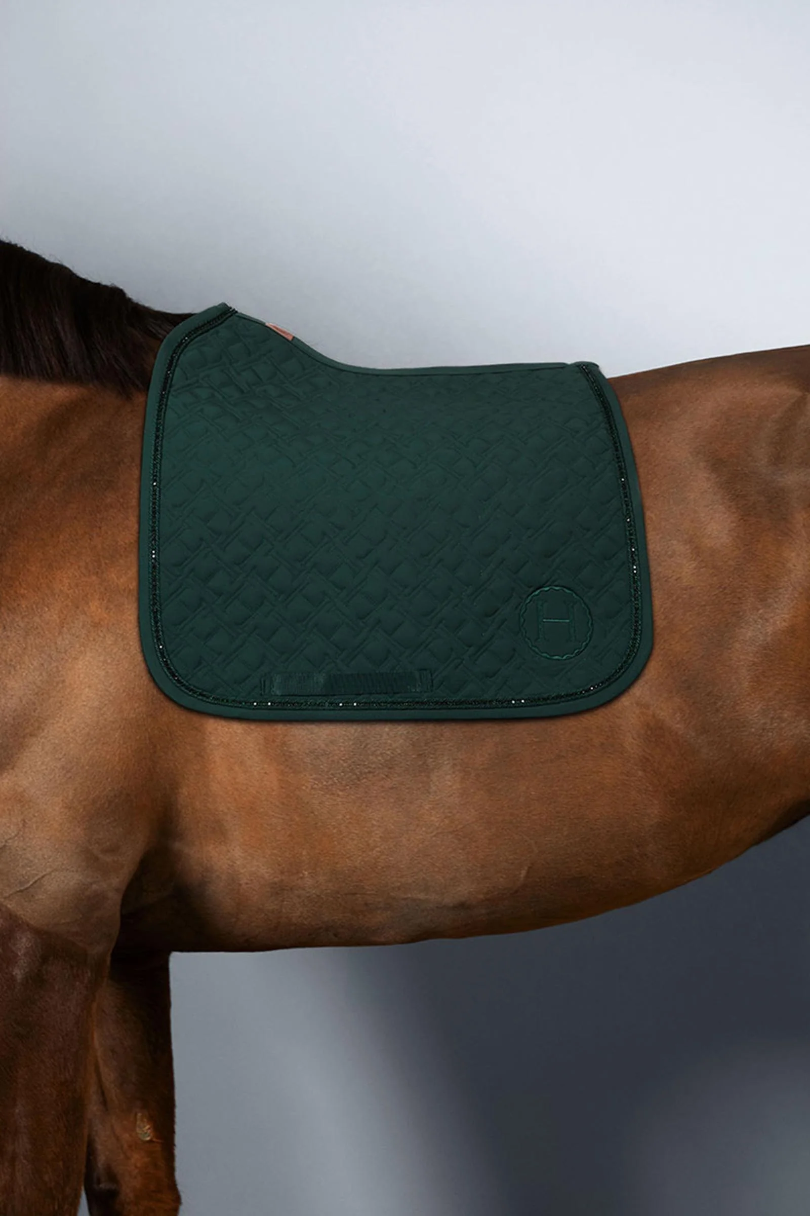 Saphir dressursjabrak Jungle (JungleGreen) F