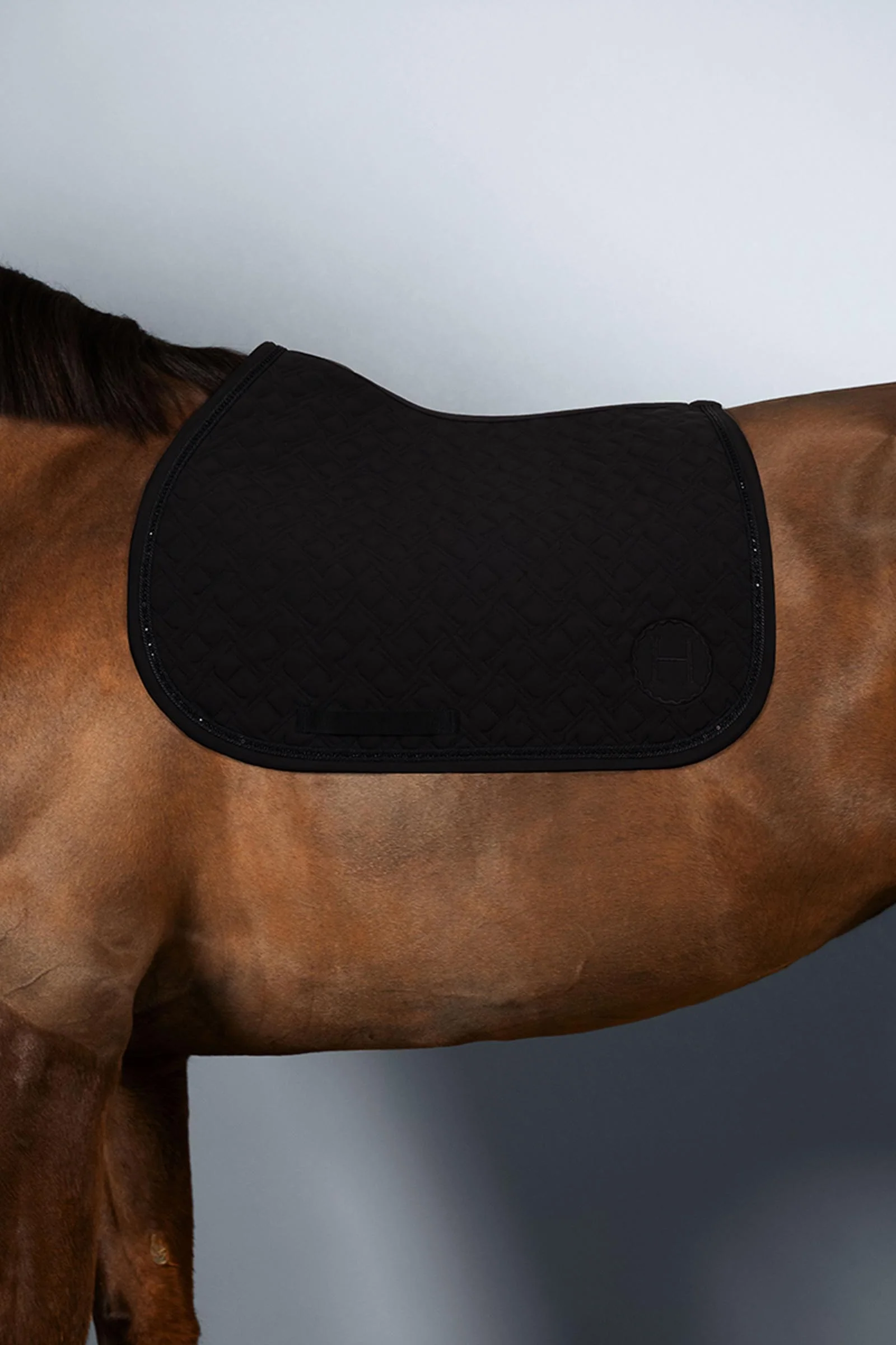 Saphir ponysjabrak Noir (Black) P