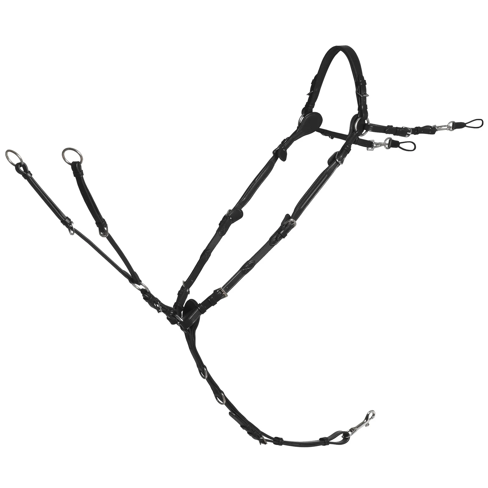 Miniatyr 1