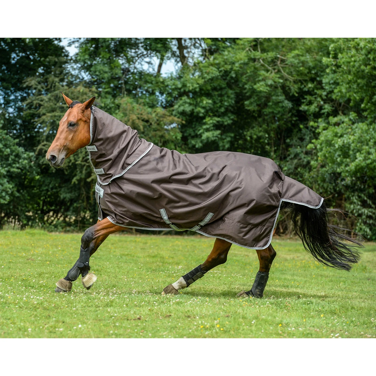 Smartex halsdel, 0 g Brown XL
