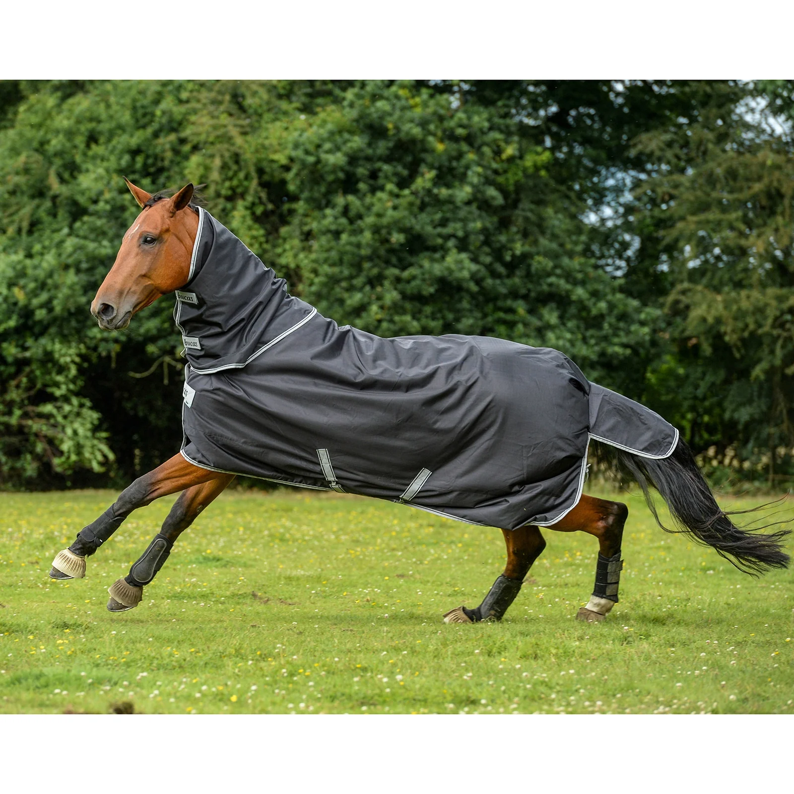 Smartex halsdel, 0 g Black M