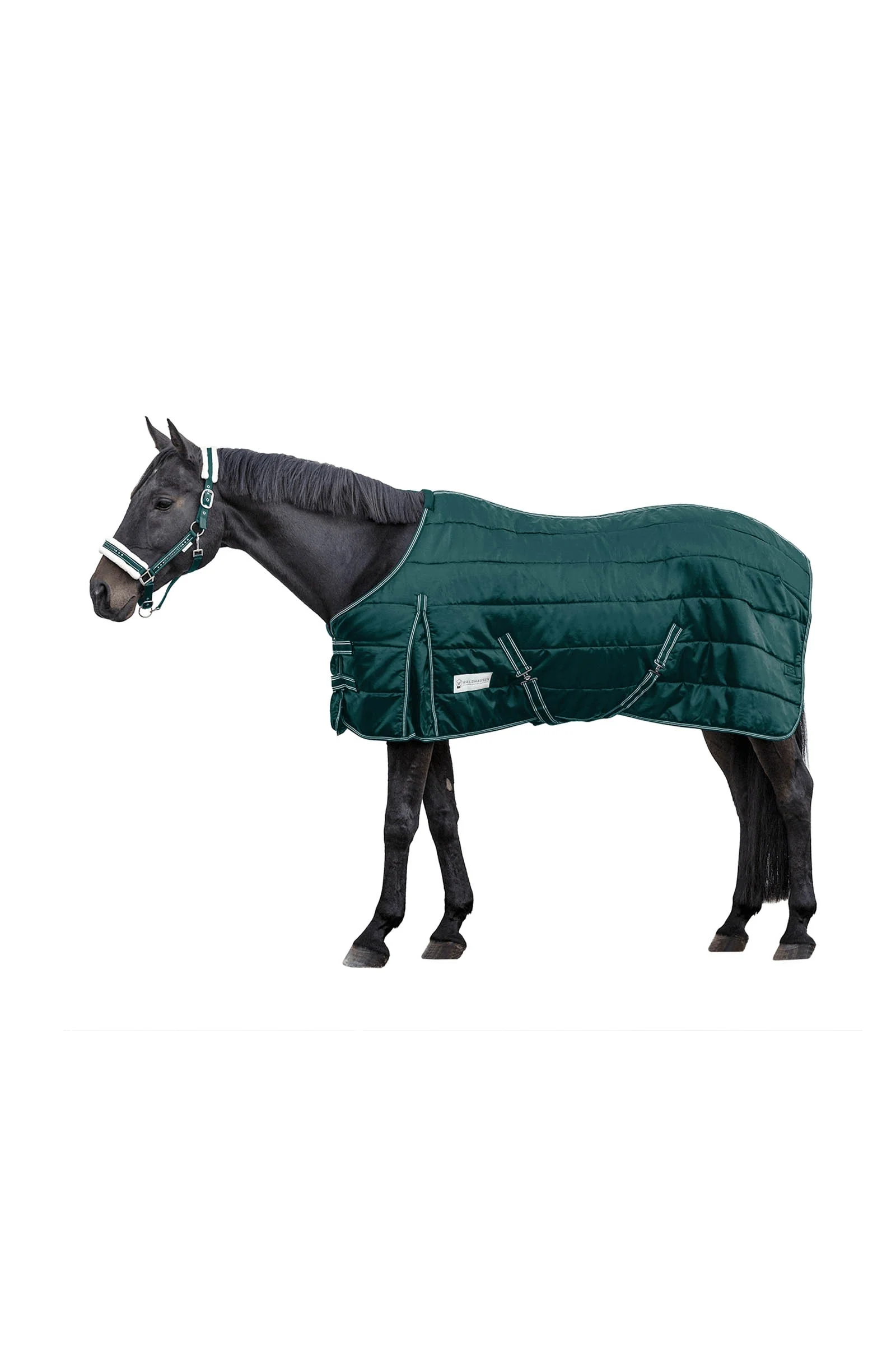 Stalldekken Økonomisk 200 g Fir Green 125