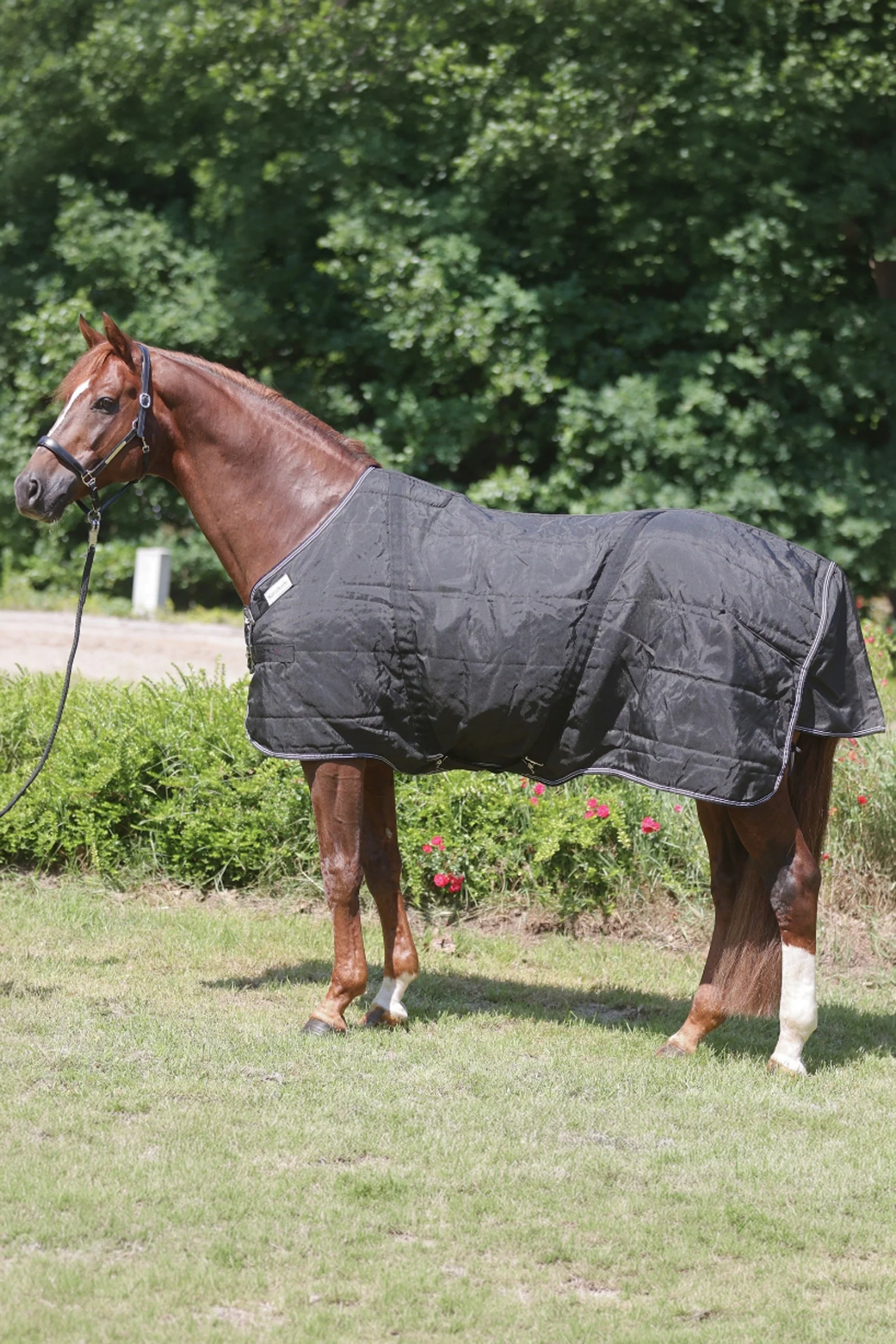 Stallion dekken med brystklaff, 200 g Black 135