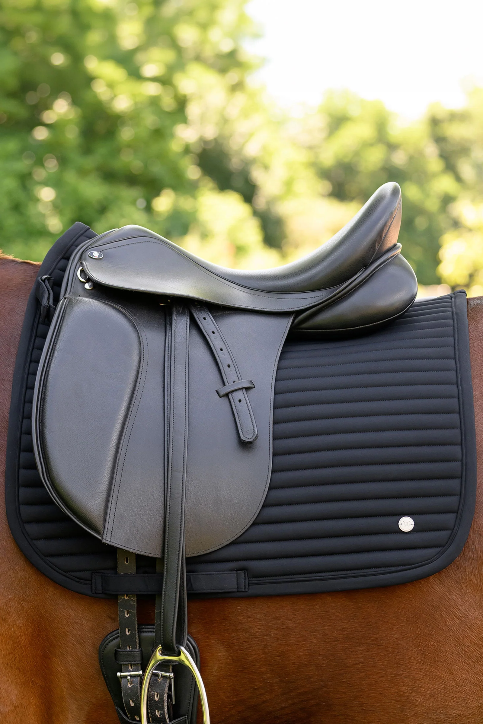 Trinidad dressursjabrak Black F