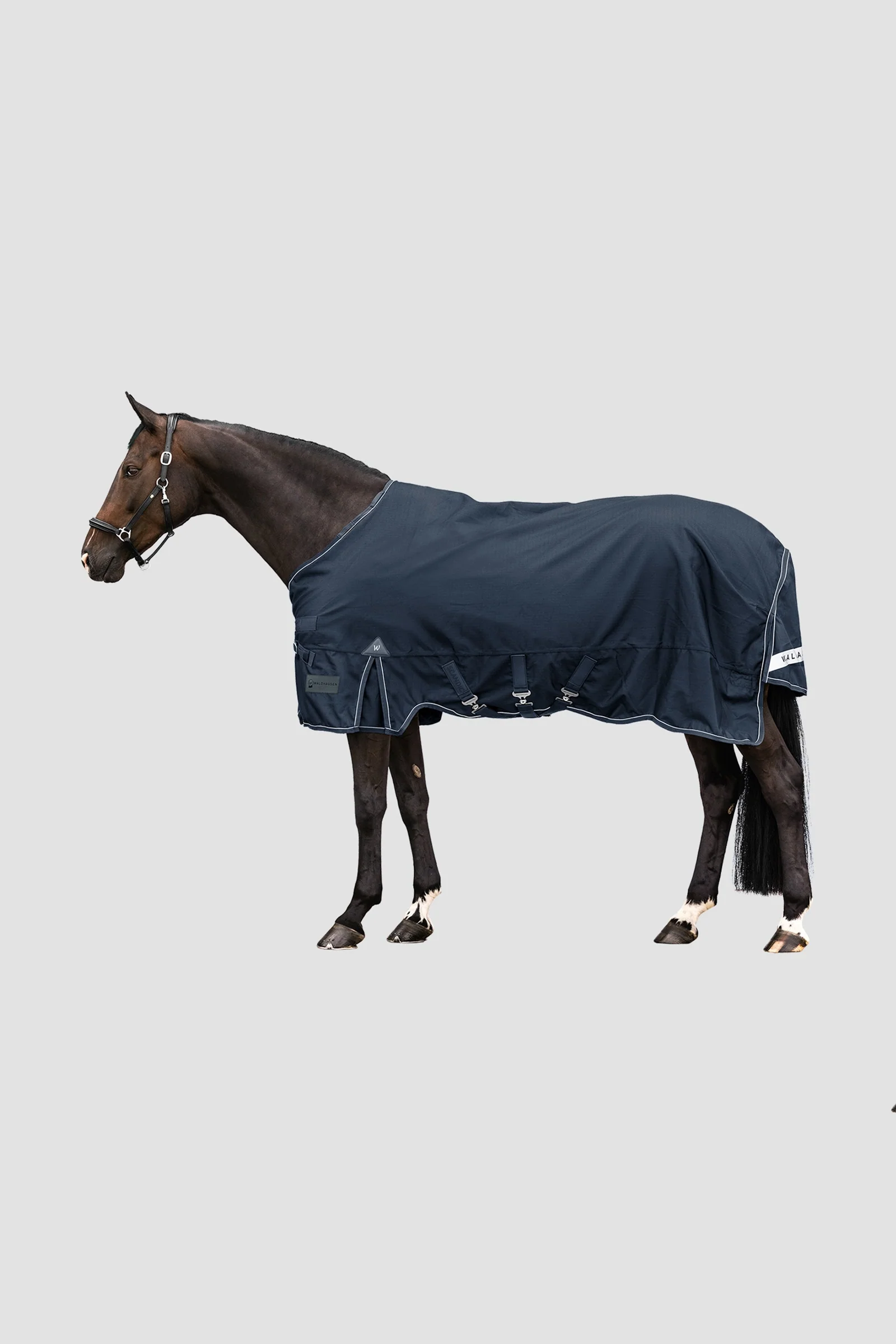 utendørsteppe Scandic 300 g Night Blue 155